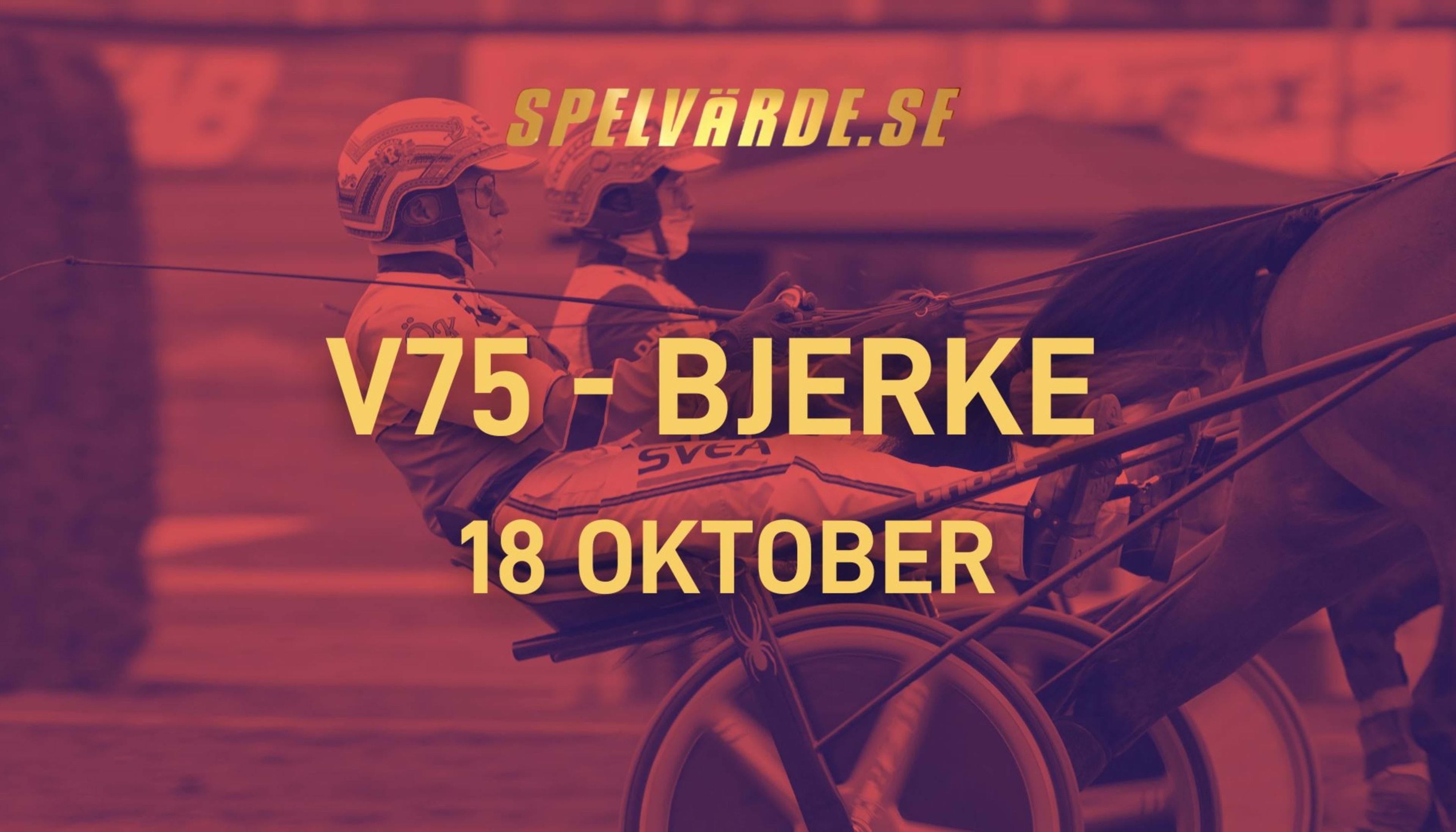 Foto: TR BILD