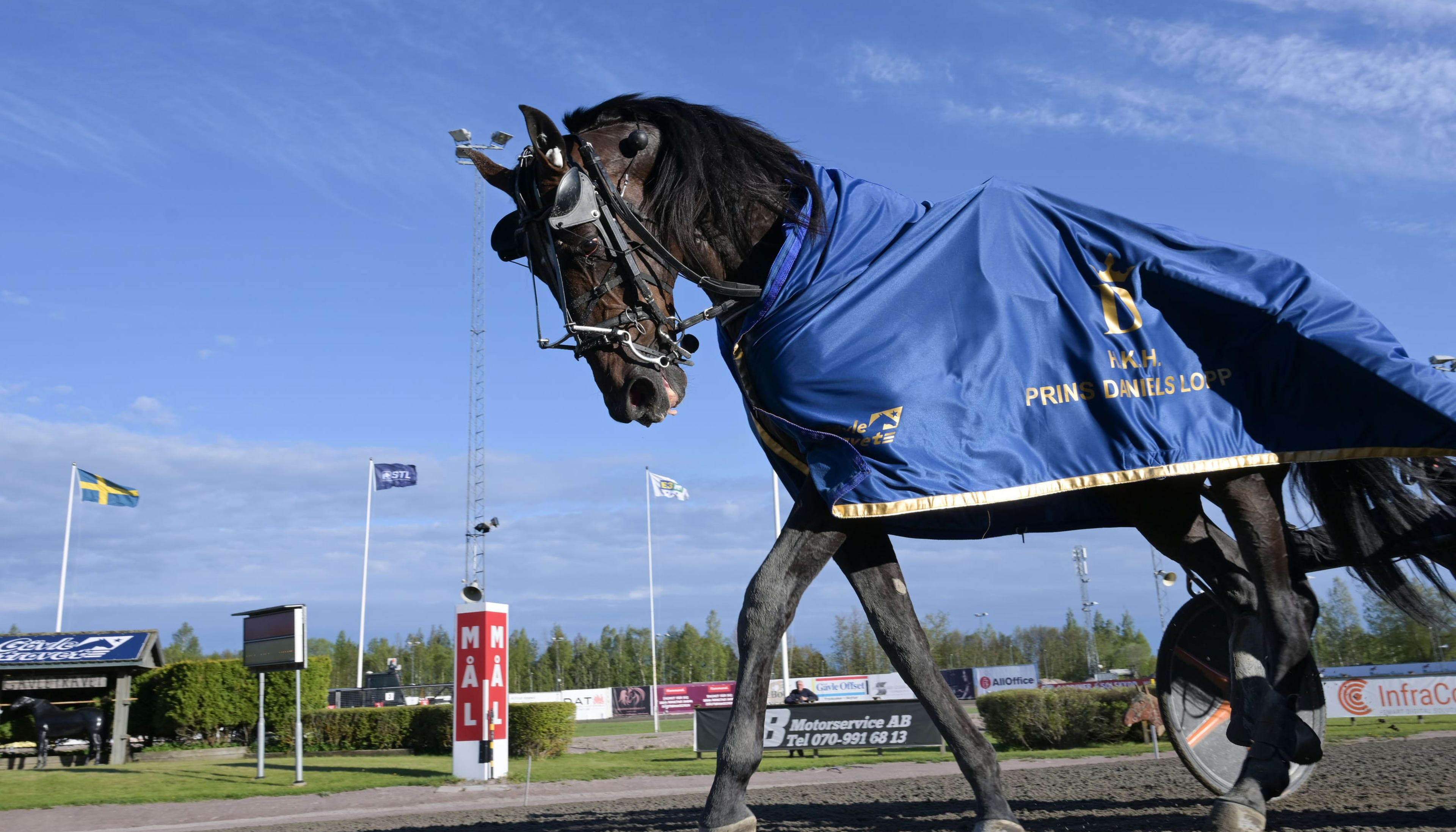 Foto: LARS JAKOBSSON / TR BILD