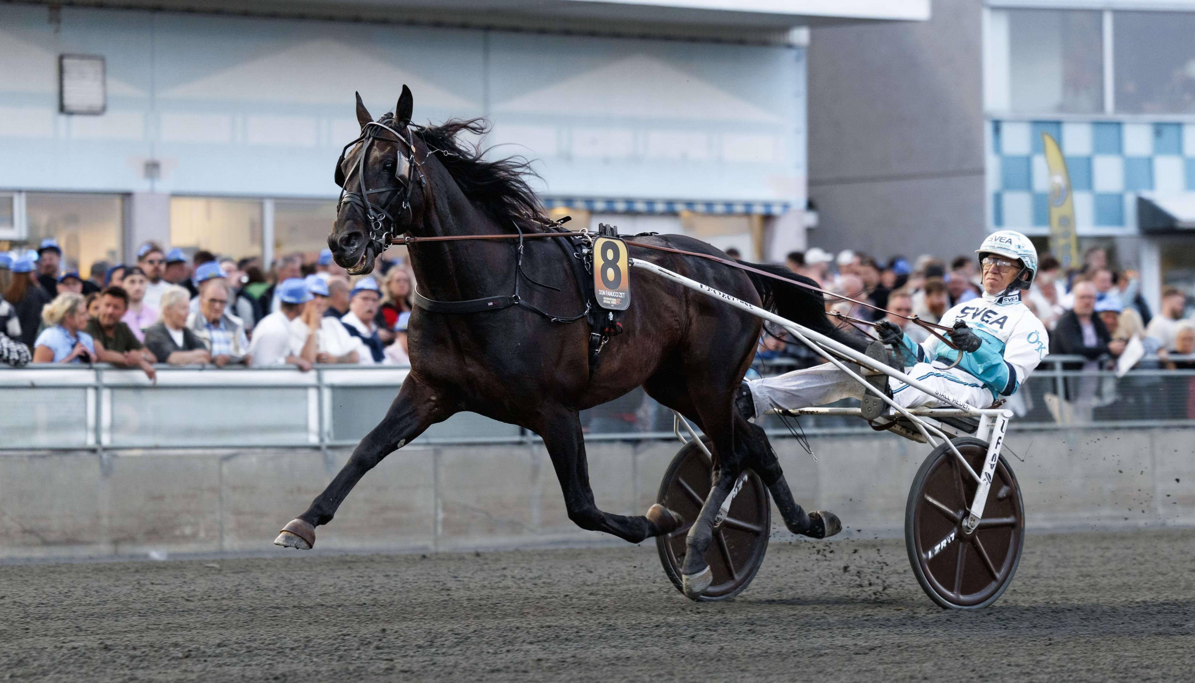 Foto: LENA EMMOTH / TR BILD