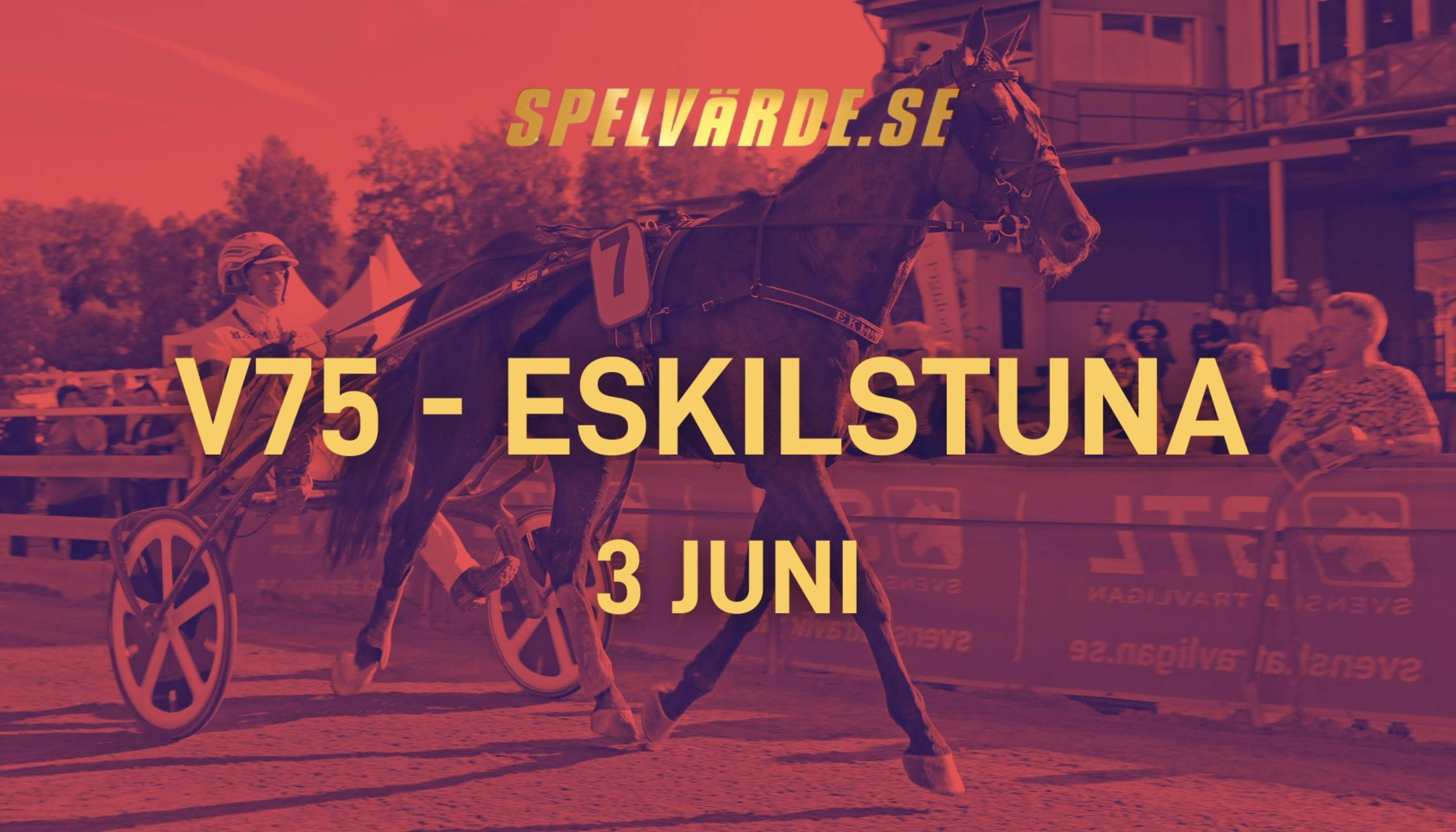 Foto: TR BILD