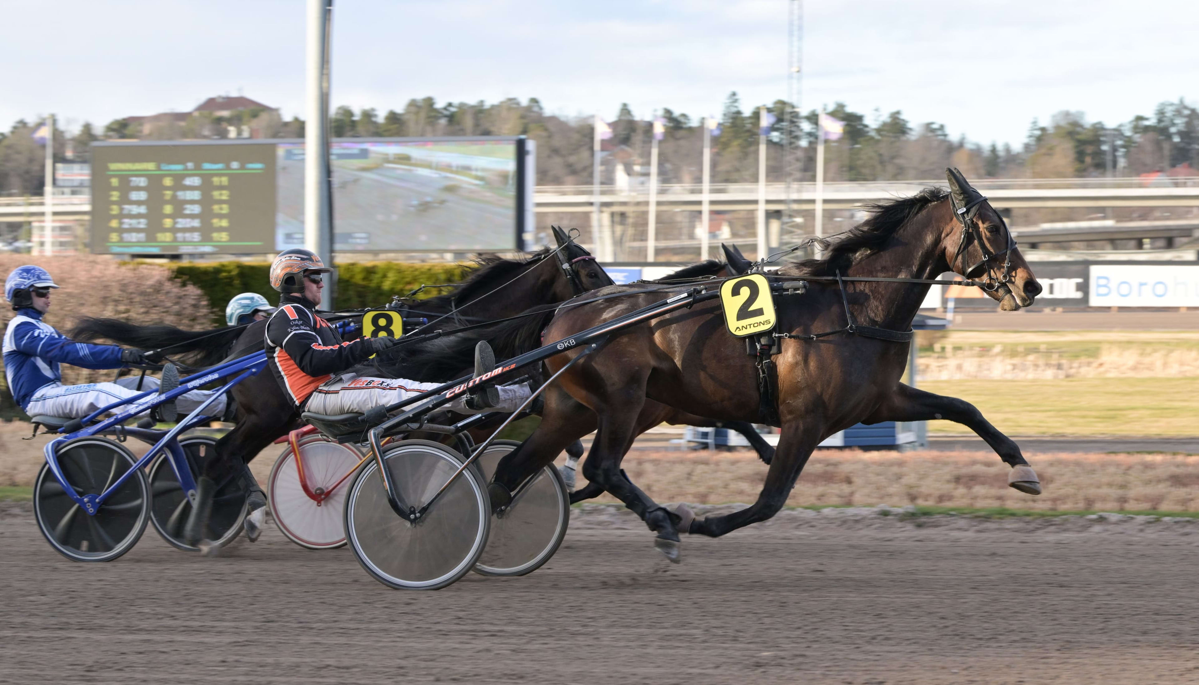 Foto: LARS JAKOBSSON / TR BILD