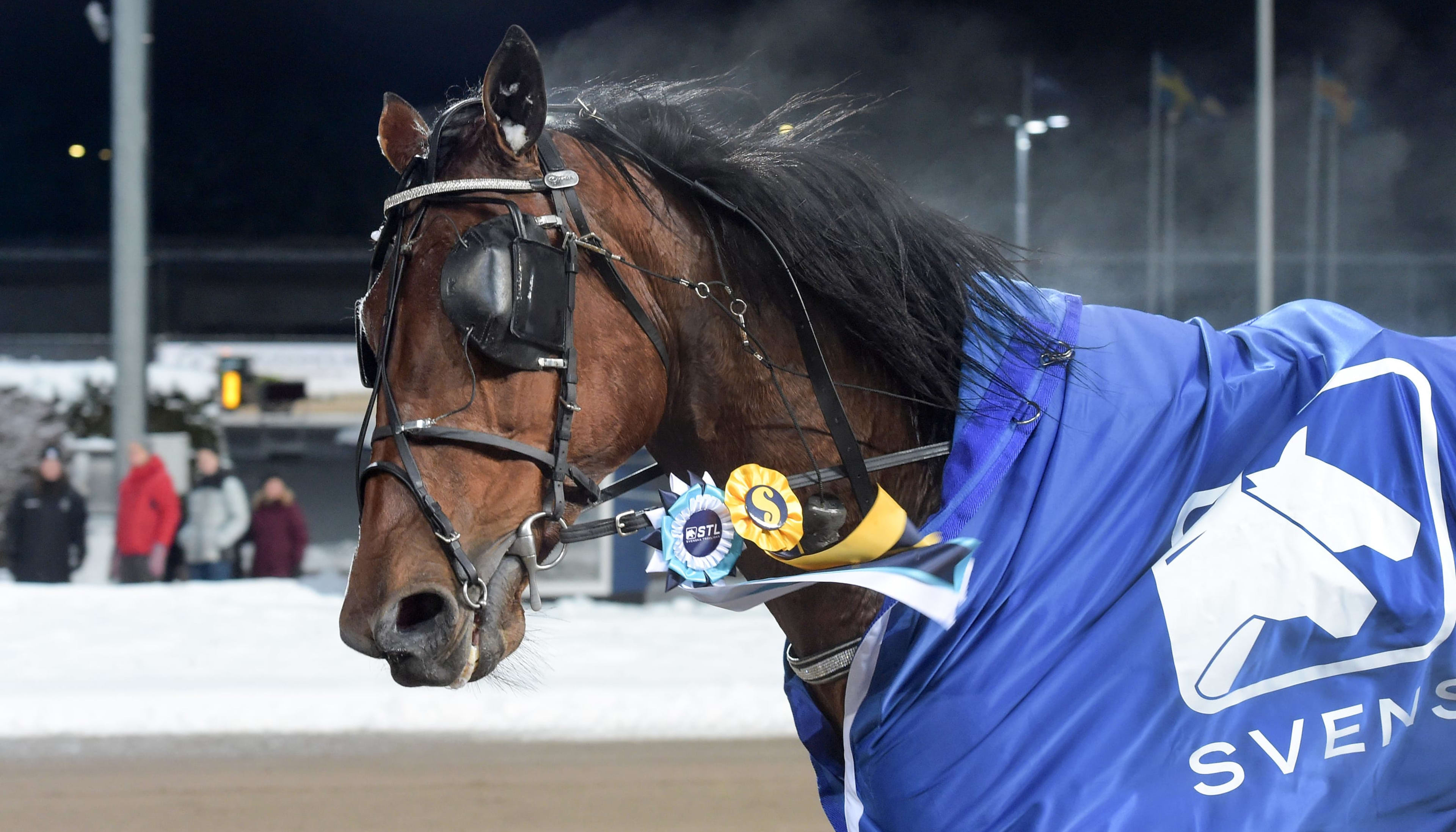 Foto: LARS JAKOBSSON/TR BILD