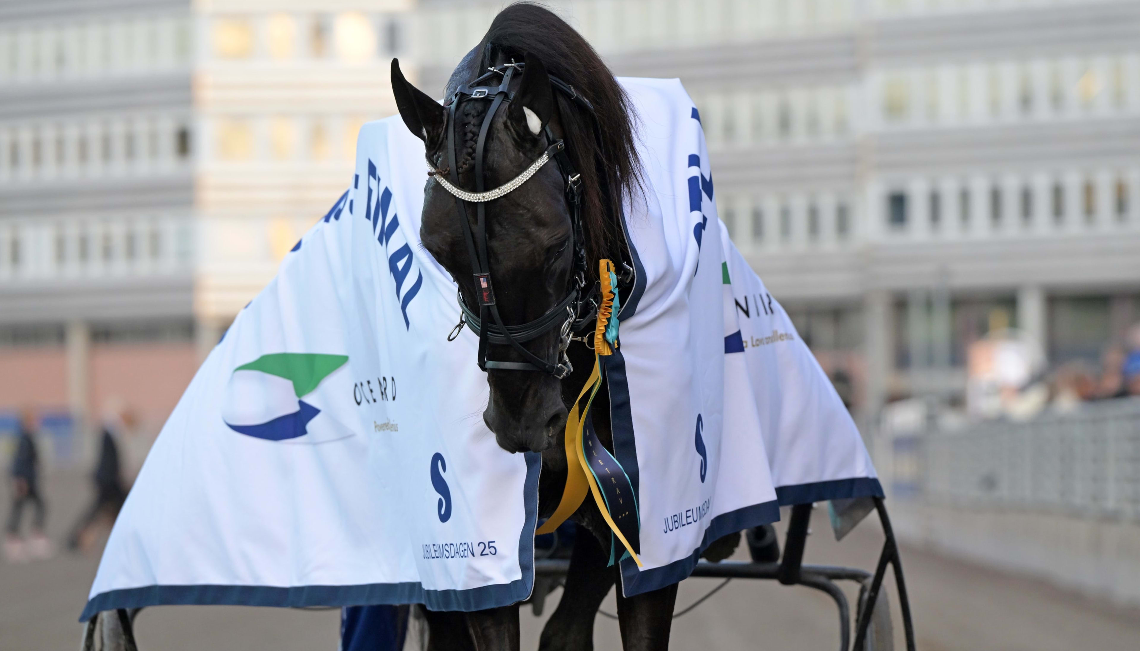 Foto: LARS JAKOBSSON / TR BILD