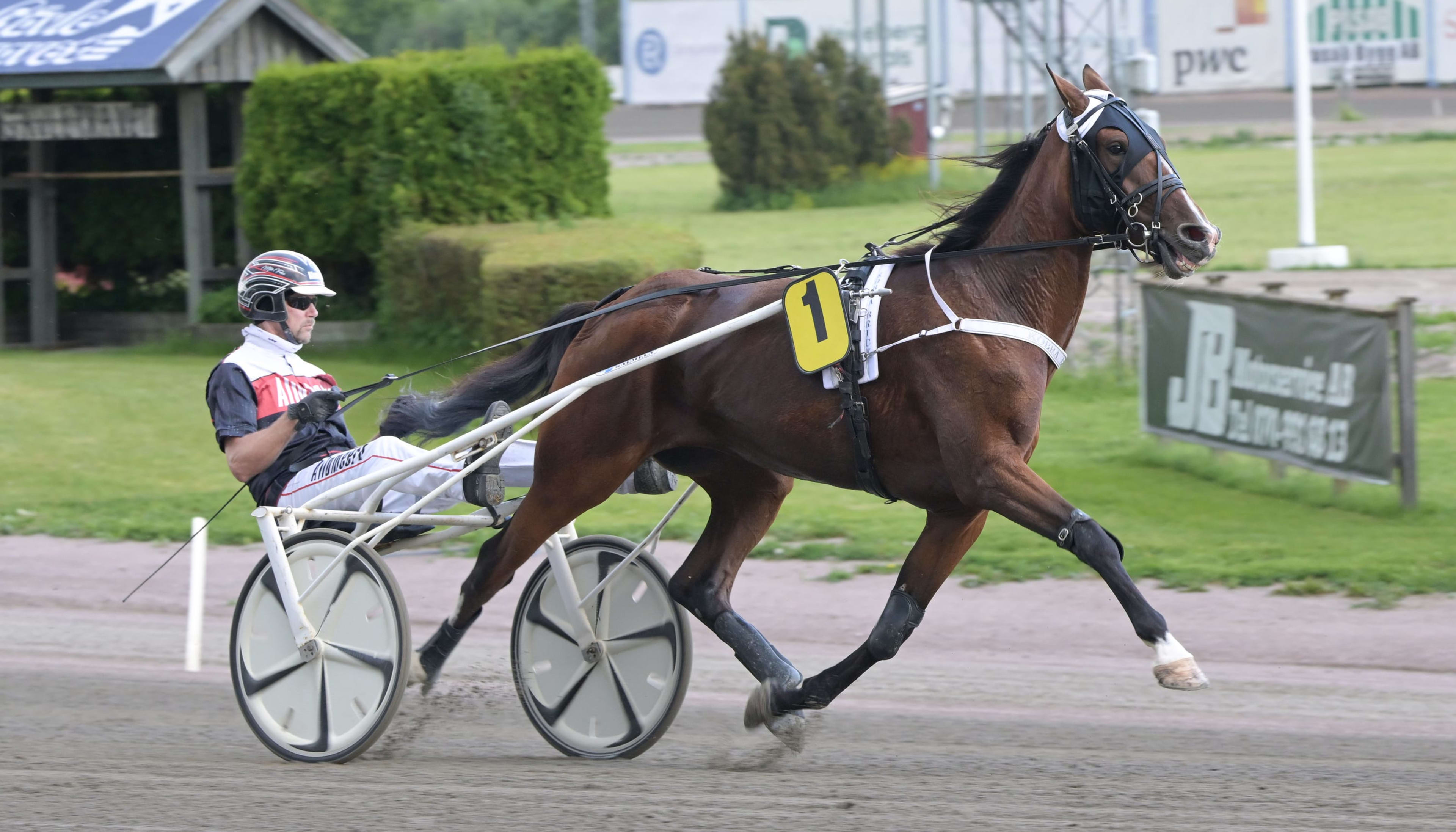Foto: LARS JAKOBSSON / TR BILD