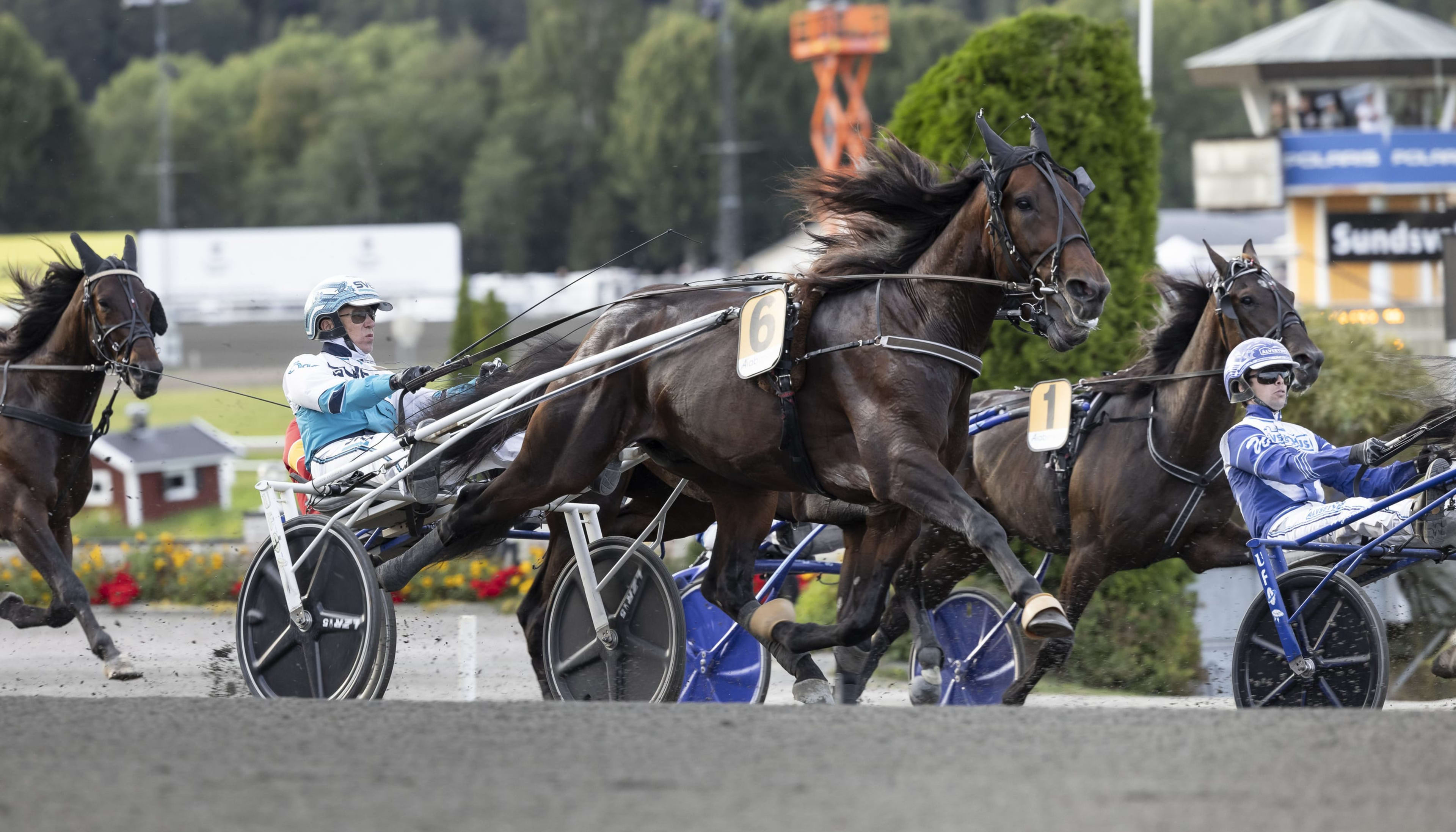 Foto: LENA EMMOTH / TR BILD