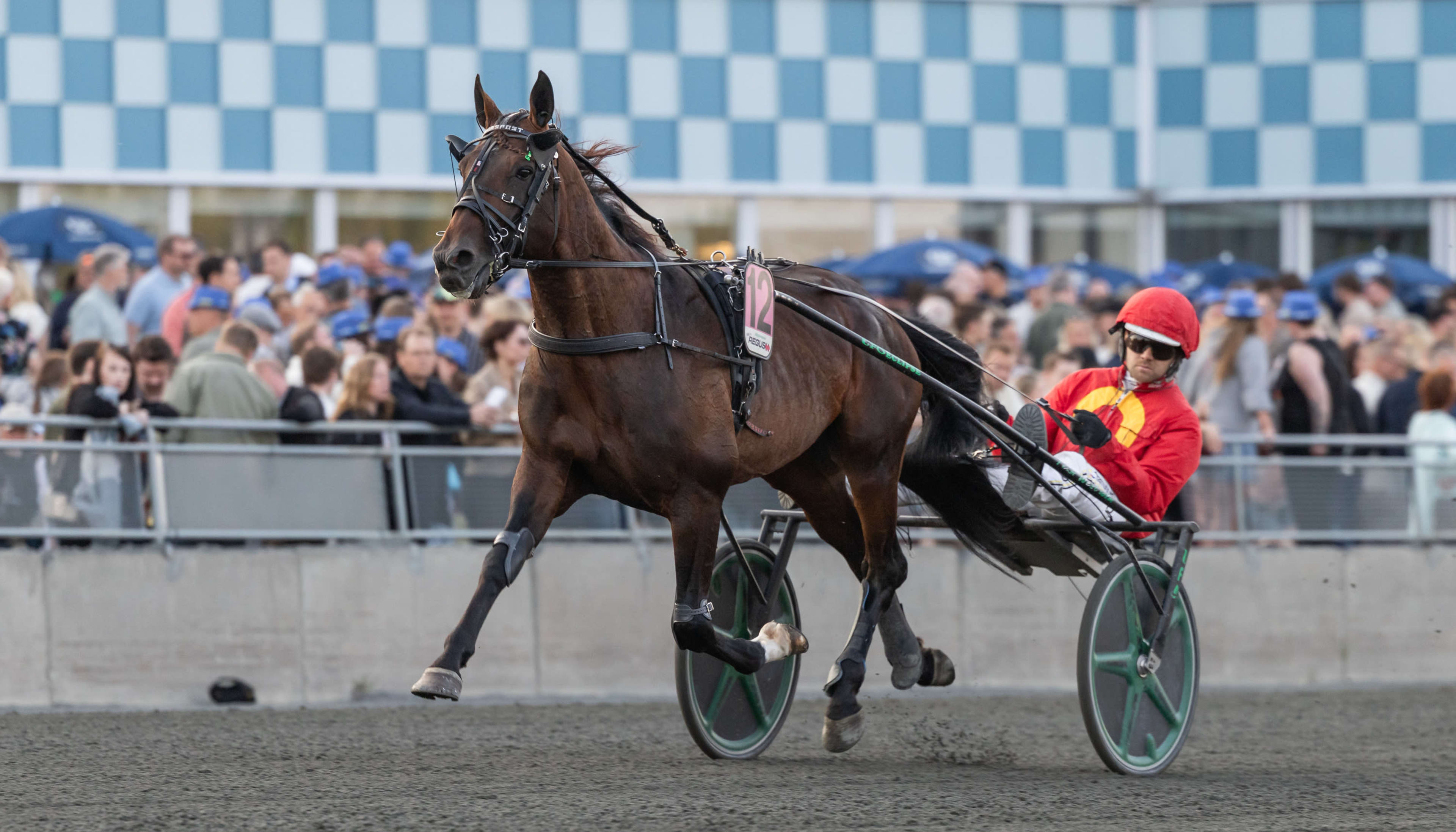 Foto: LENA EMMOTH / TR BILD