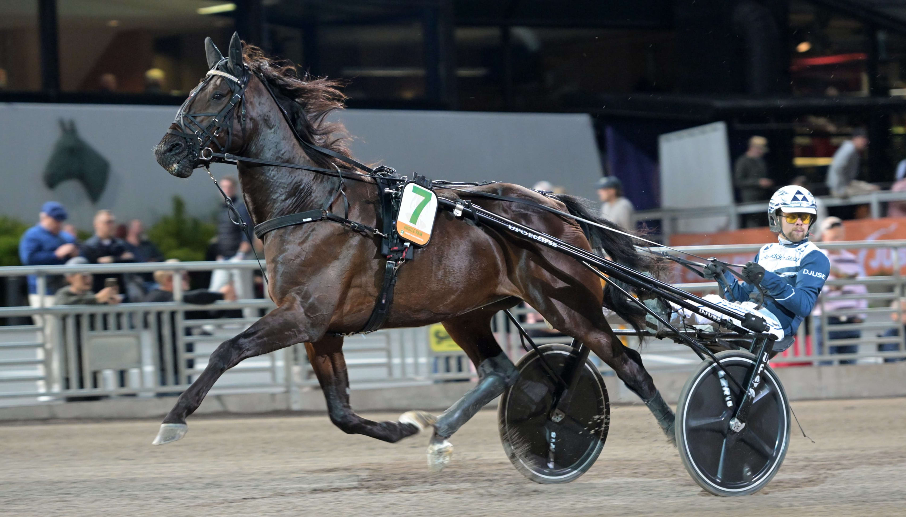 Foto: LARS JAKOBSSON / TR BILD