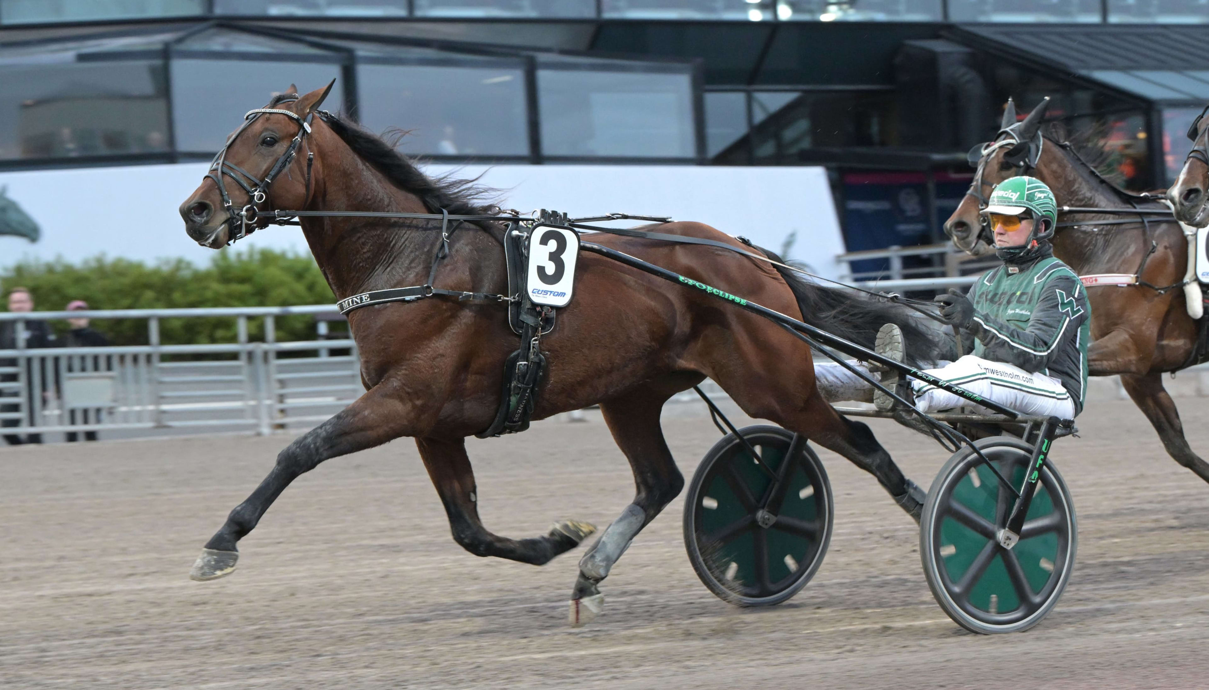 Foto: LARS JAKOBSSON / TR BILD