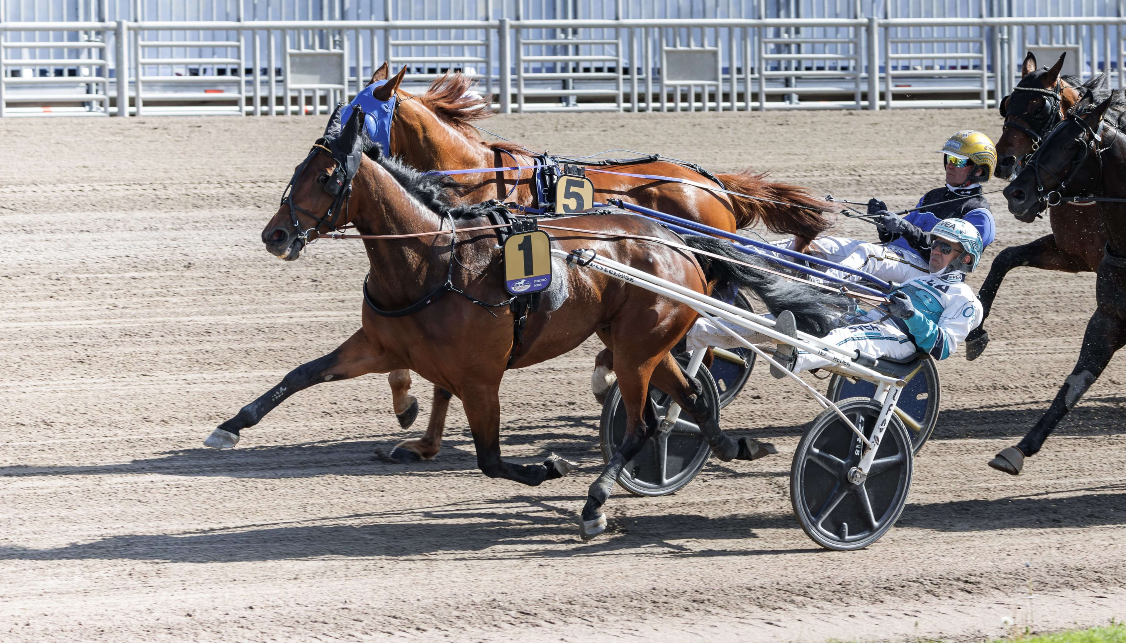 Foto: LENA EMMOTH / TR BILD