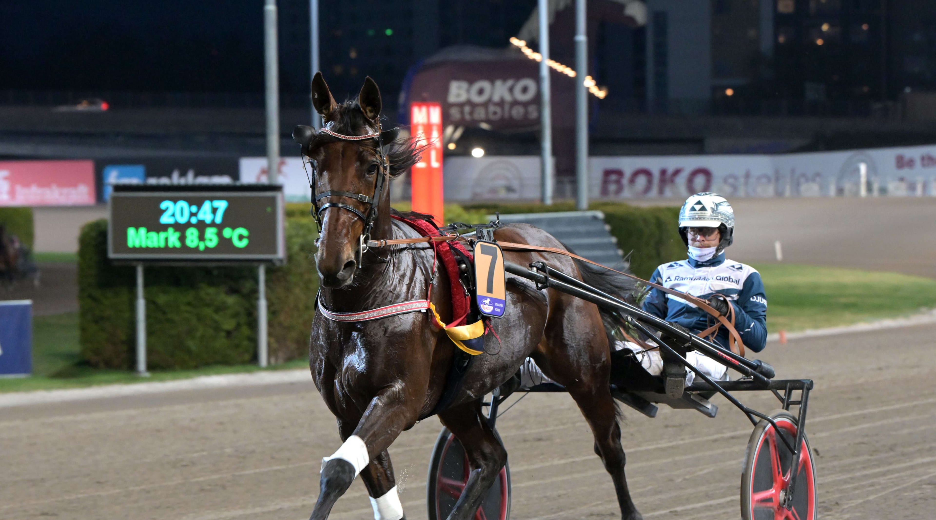 Foto: LARS JAKOBSSON / TR BILD
