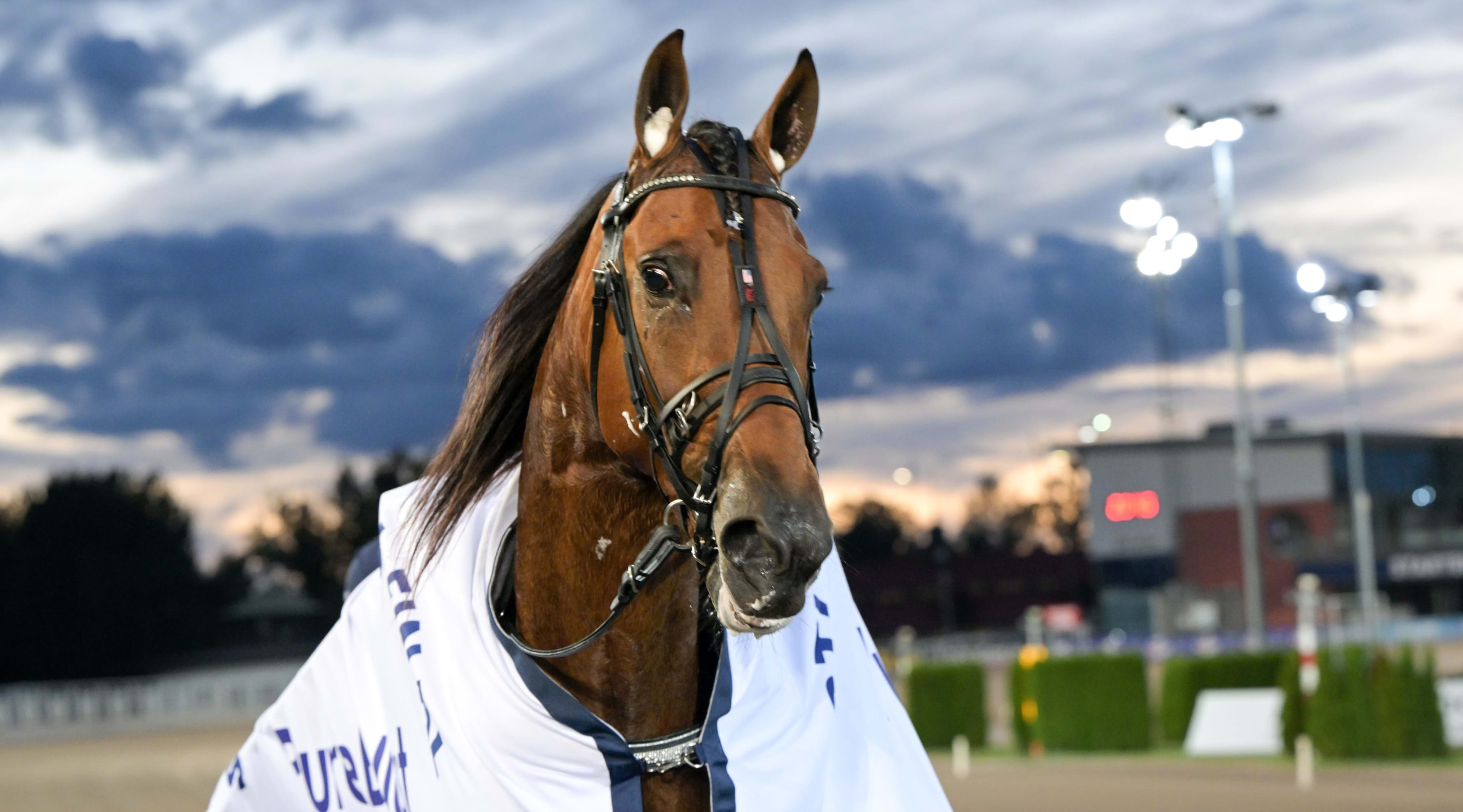 Foto: LARS JAKOBSSON / TR BILD