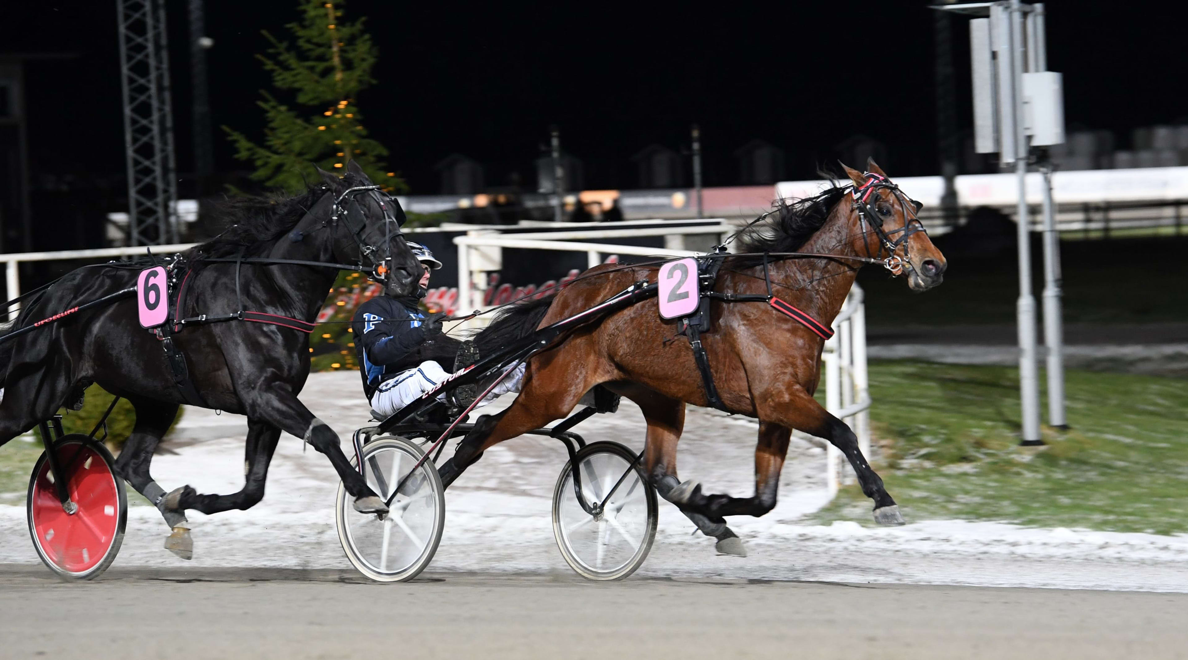 Foto: MALIN ALBINSSON / TR BILD