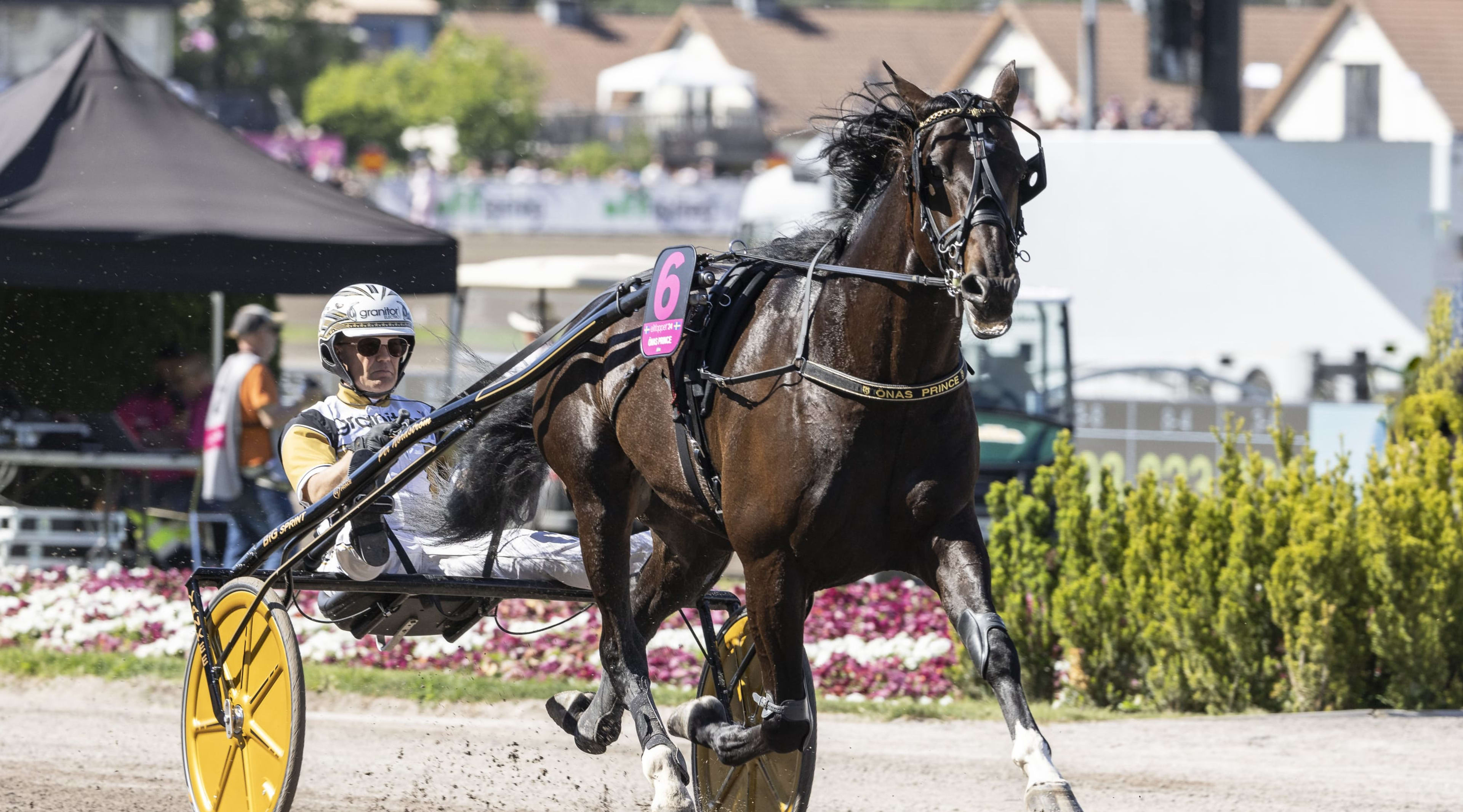 Foto: LENA EMMOTH / TR BILD