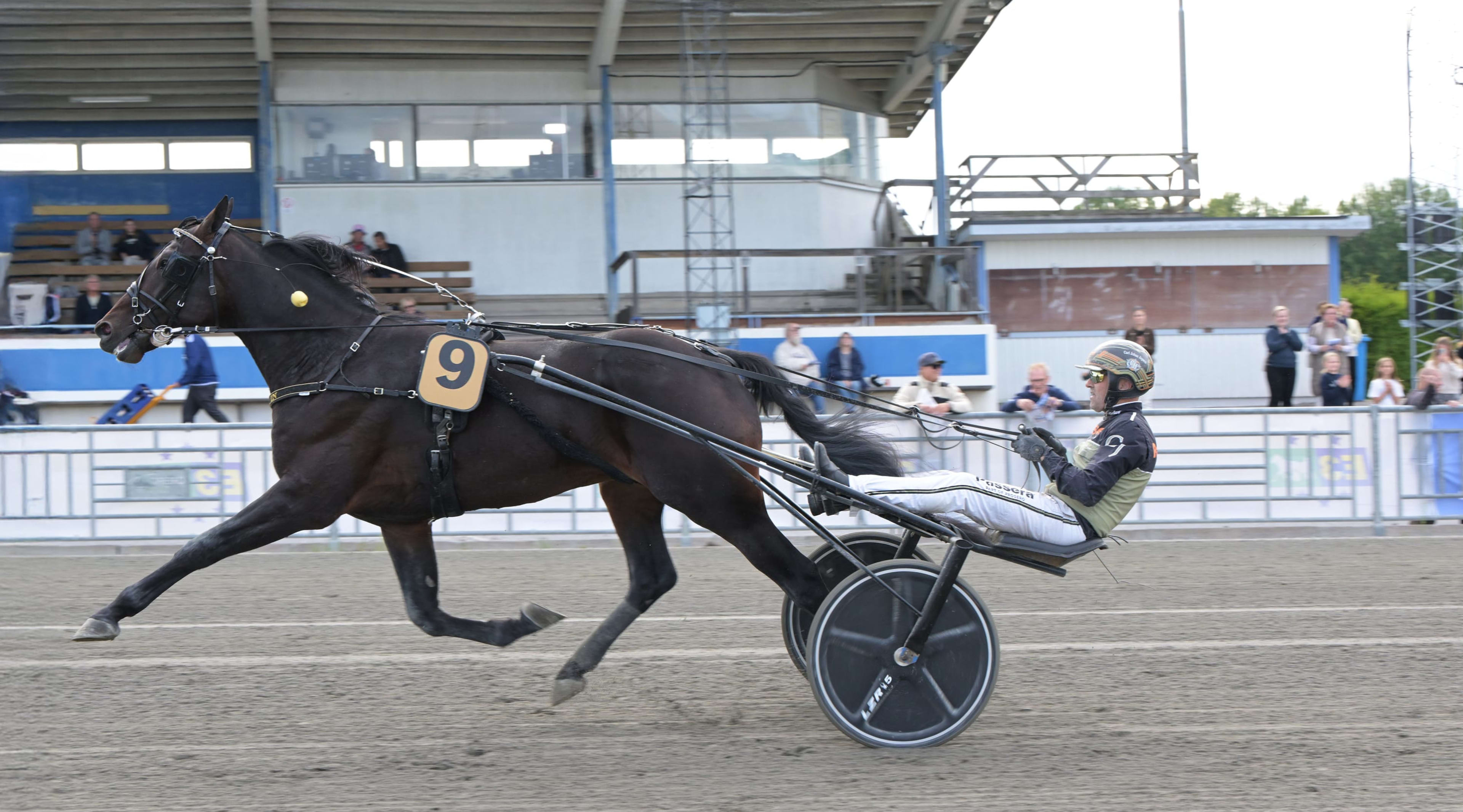 Foto: LARS JAKOBSSON / TR BILD