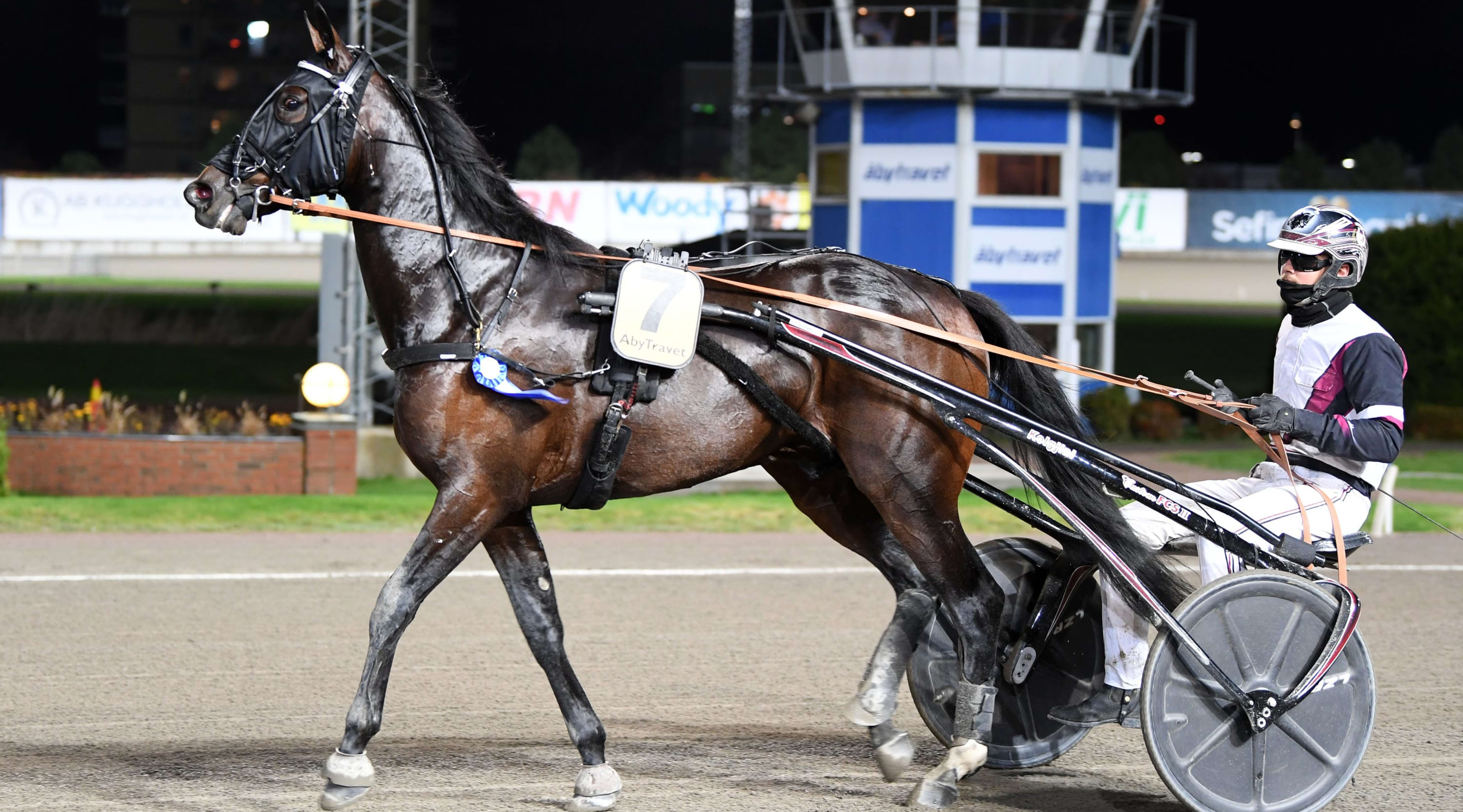 Foto: MALIN ALBINSSON / TR BILD