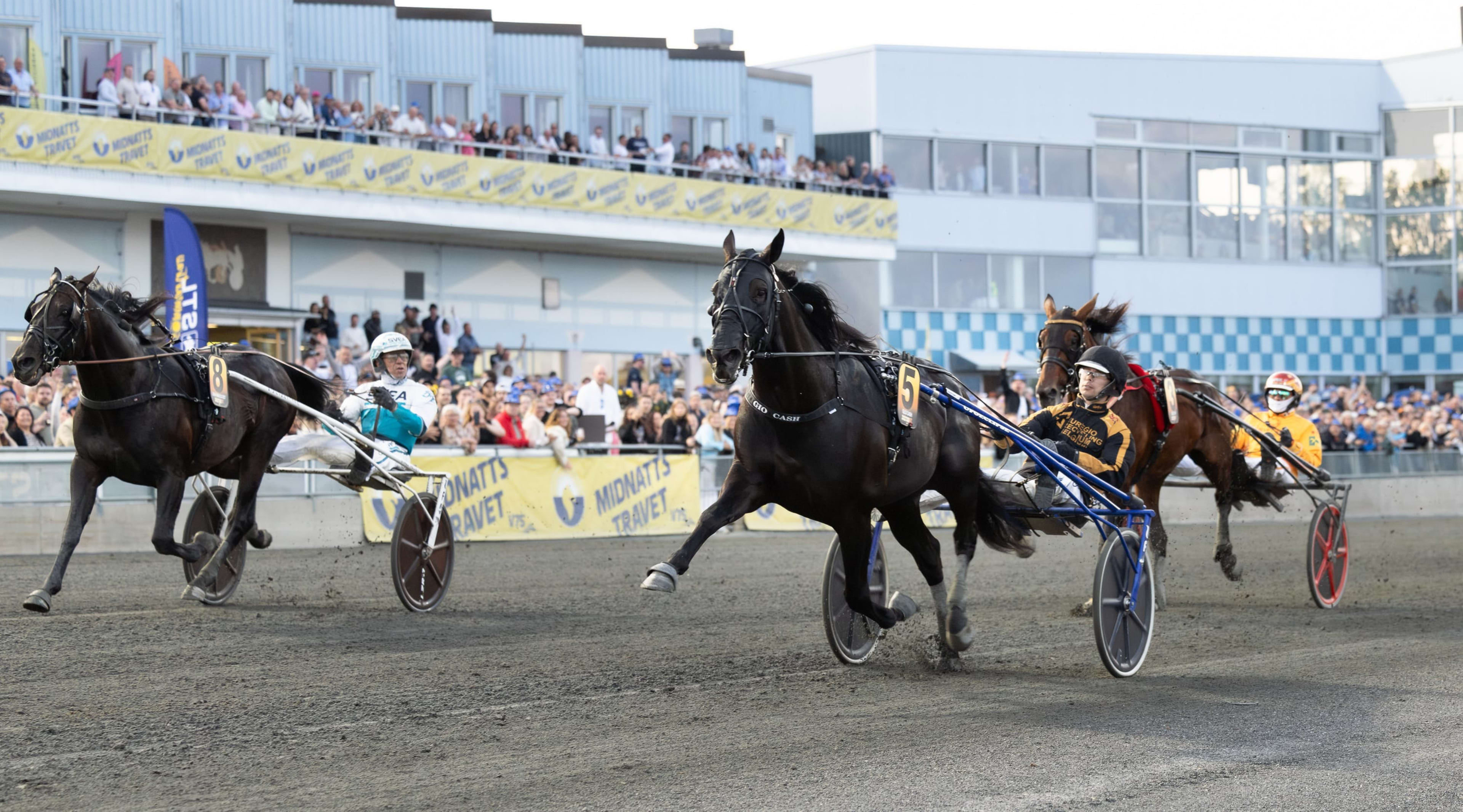 Foto: LENA EMMOTH / TR BILD