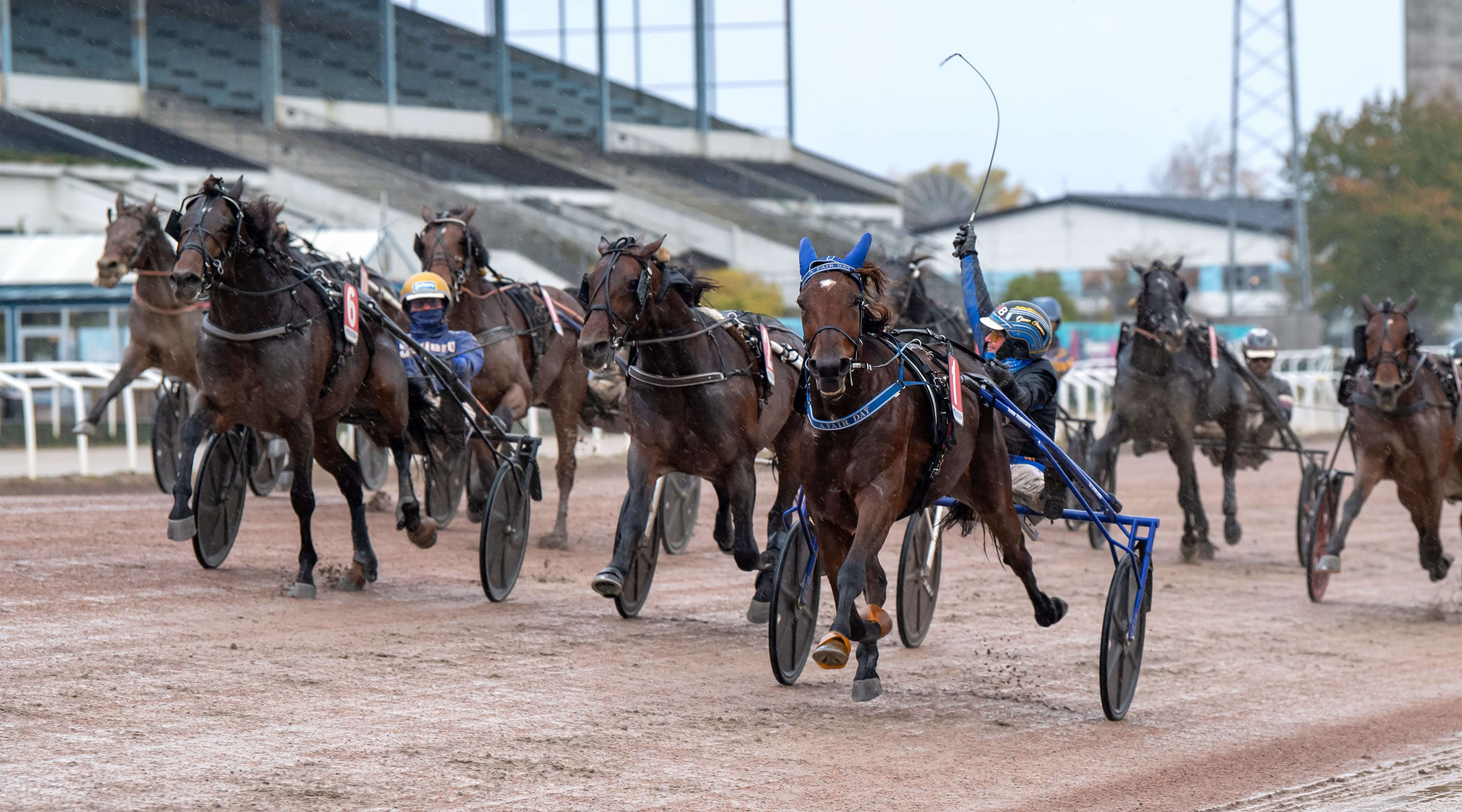 Foto: MIKAEL ROSENQUIST / TR BILD