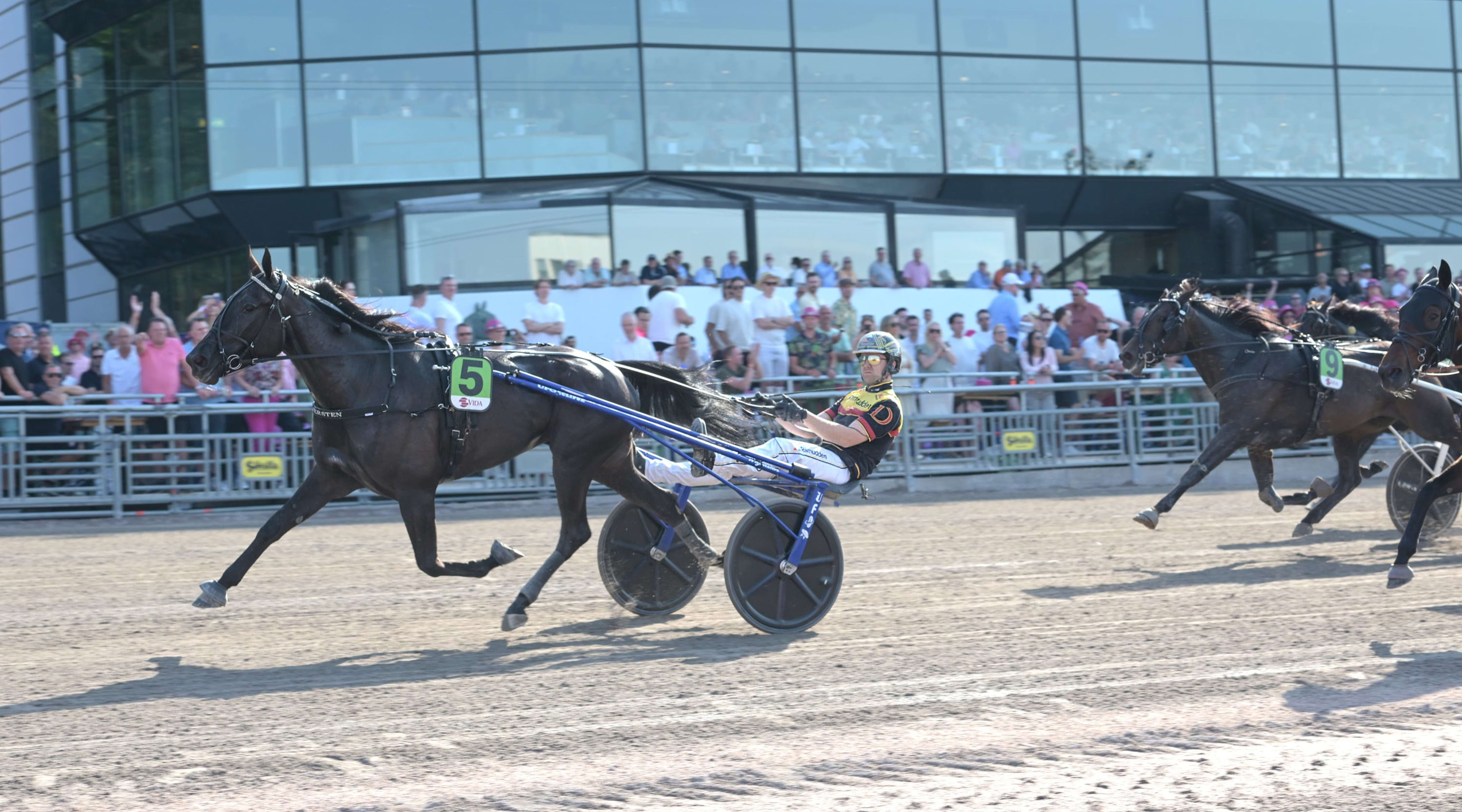 Foto: LARS JAKOBSSON / TR BILD