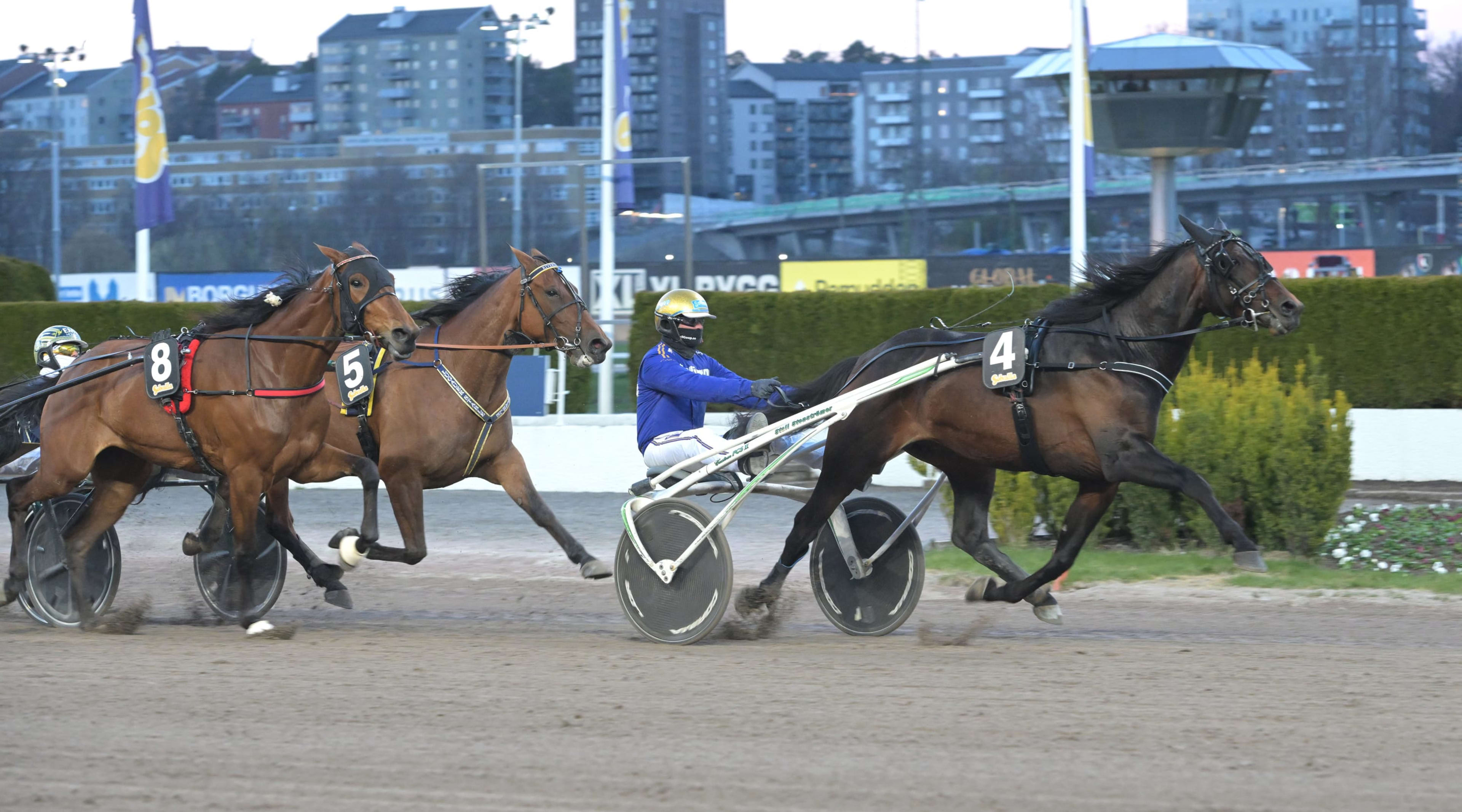 Foto: LARS JAKOBSSON / TR BILD