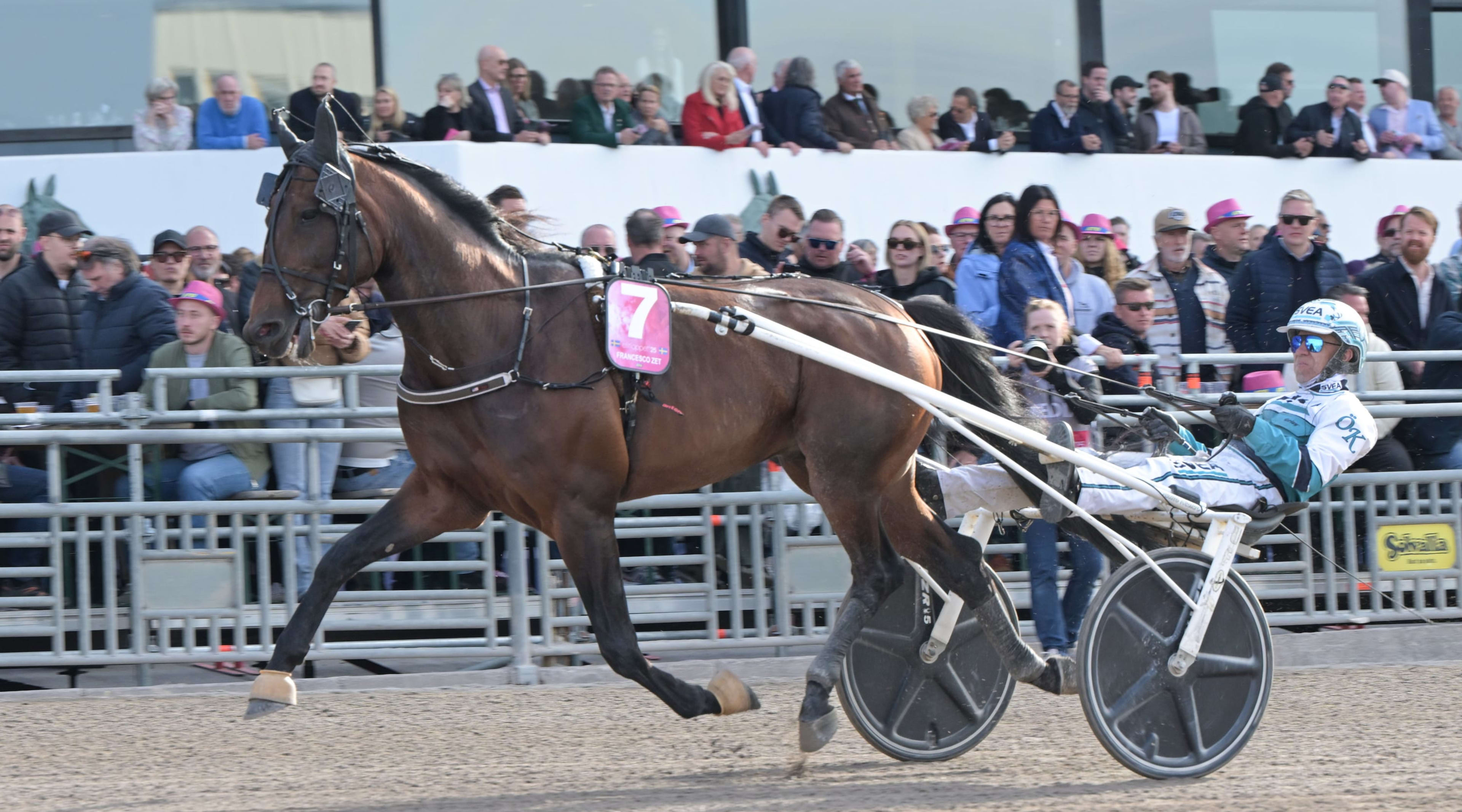 Foto: LARS JAKOBSSON / TR BILD