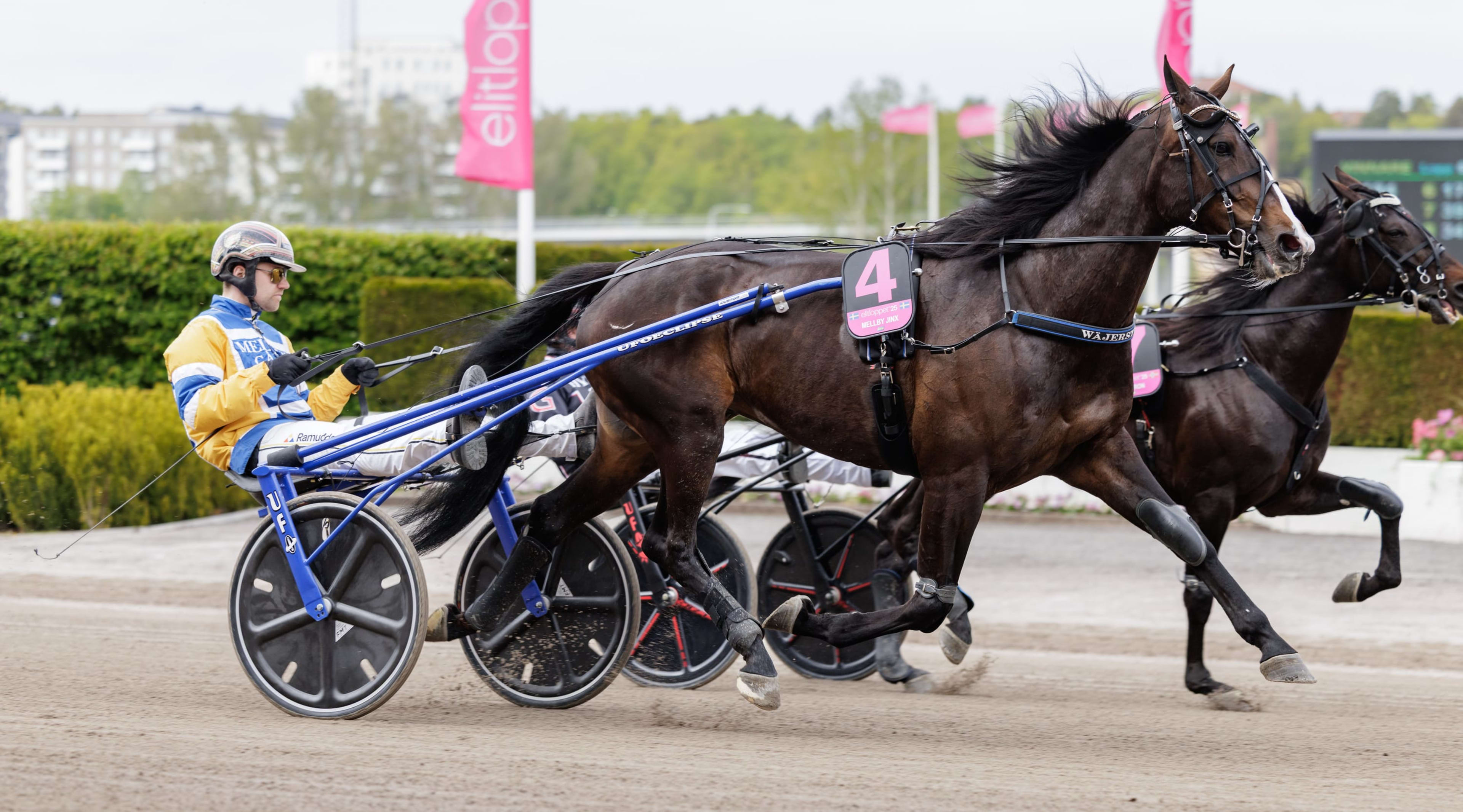 Foto: LENA EMMOTH / TR BILD