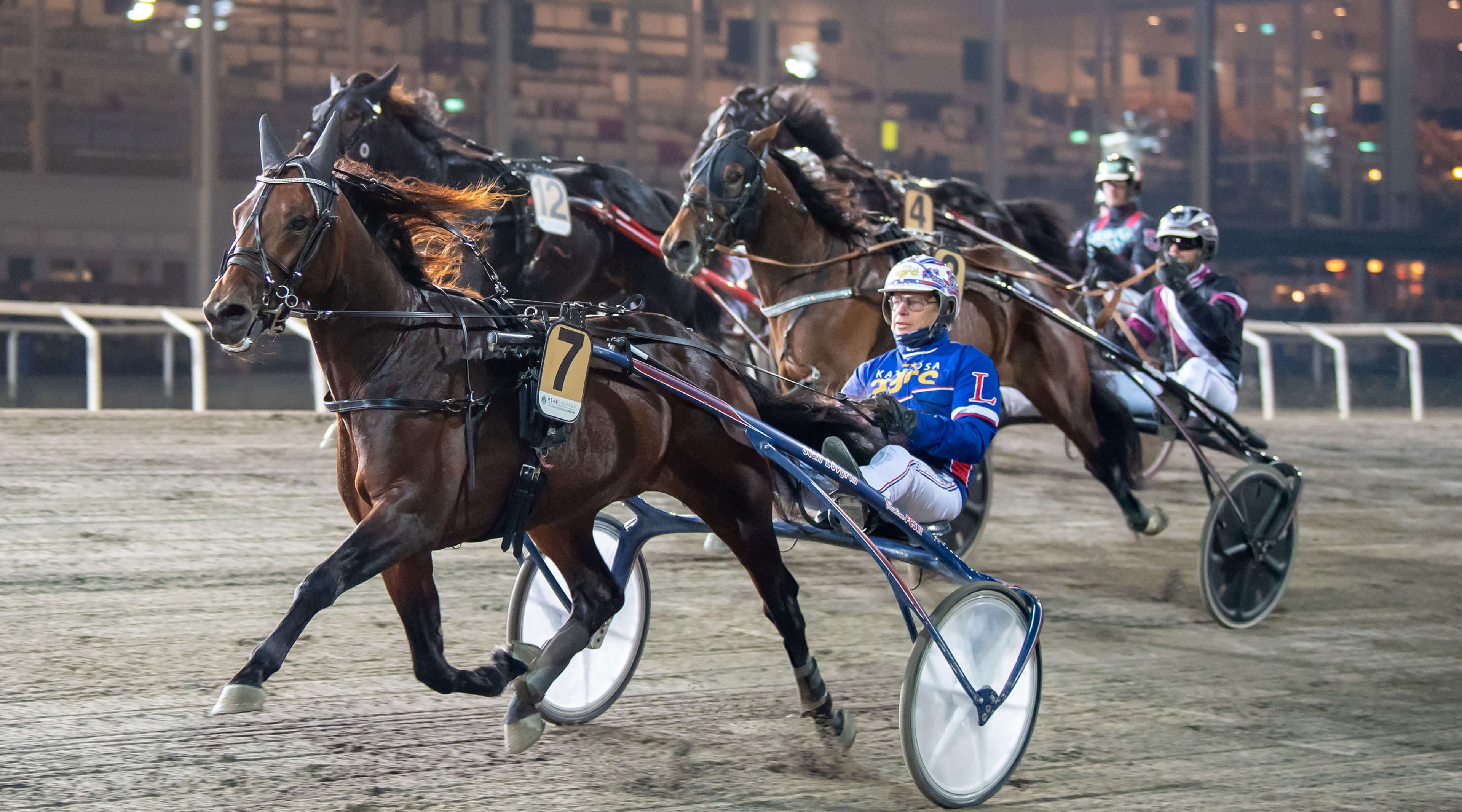 Foto: MIKAEL ROSENQUIST / TR BILD