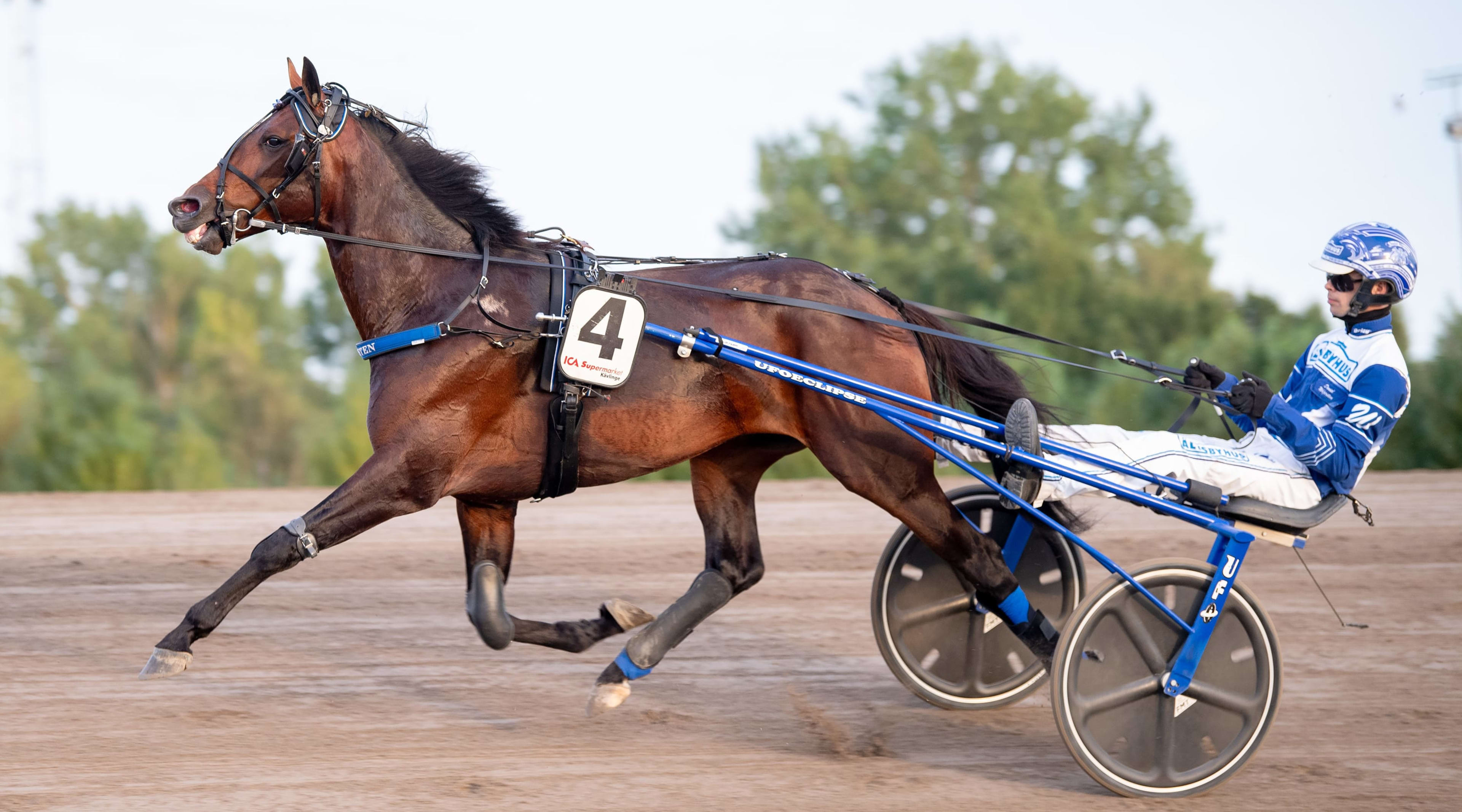 Foto: MIKAEL ROSENQUIST / TR BILD