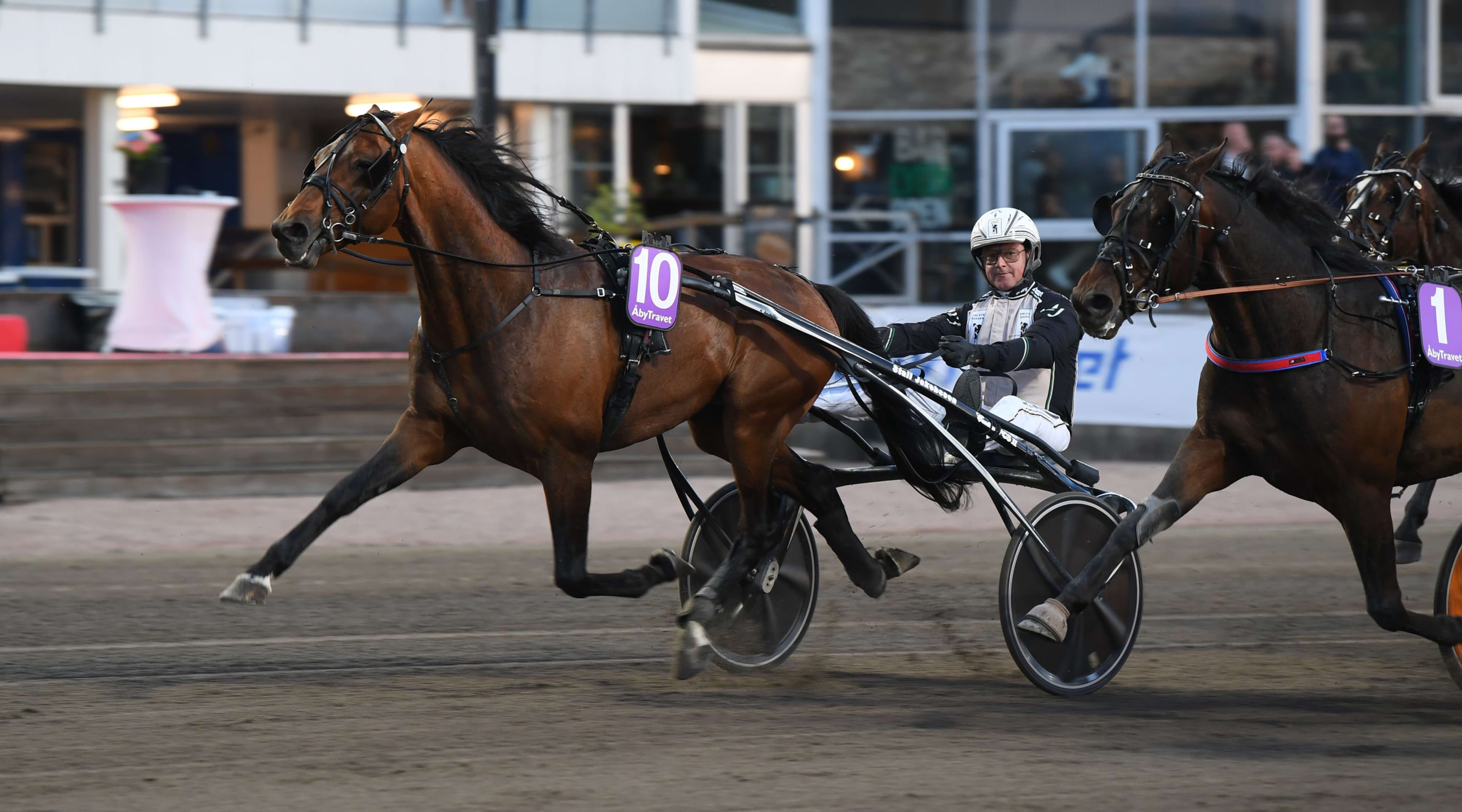 Foto: MALIN ALBINSSON / TR BILD