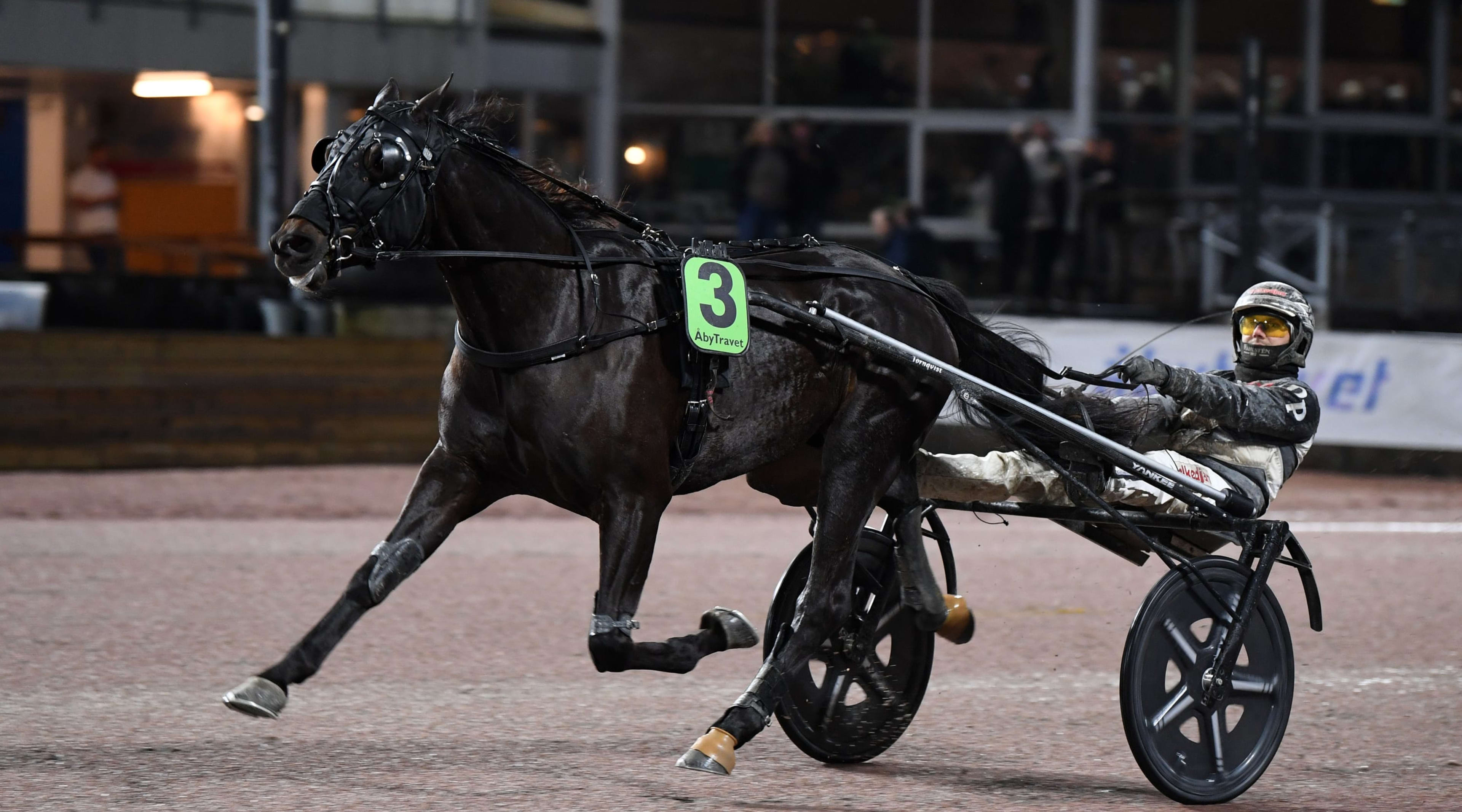 Foto: MALIN ALBINSSON / TR BILD