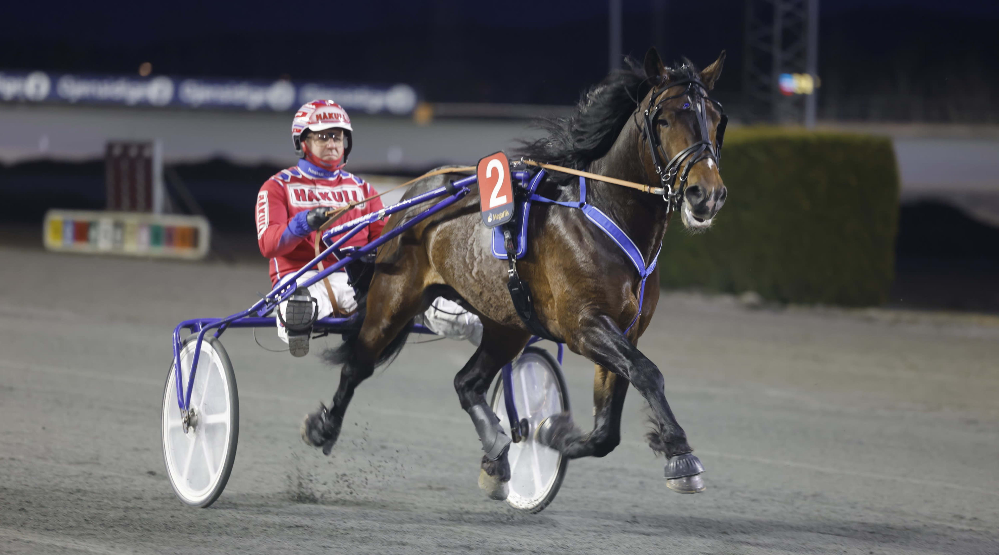 Foto: Hesteguiden.com