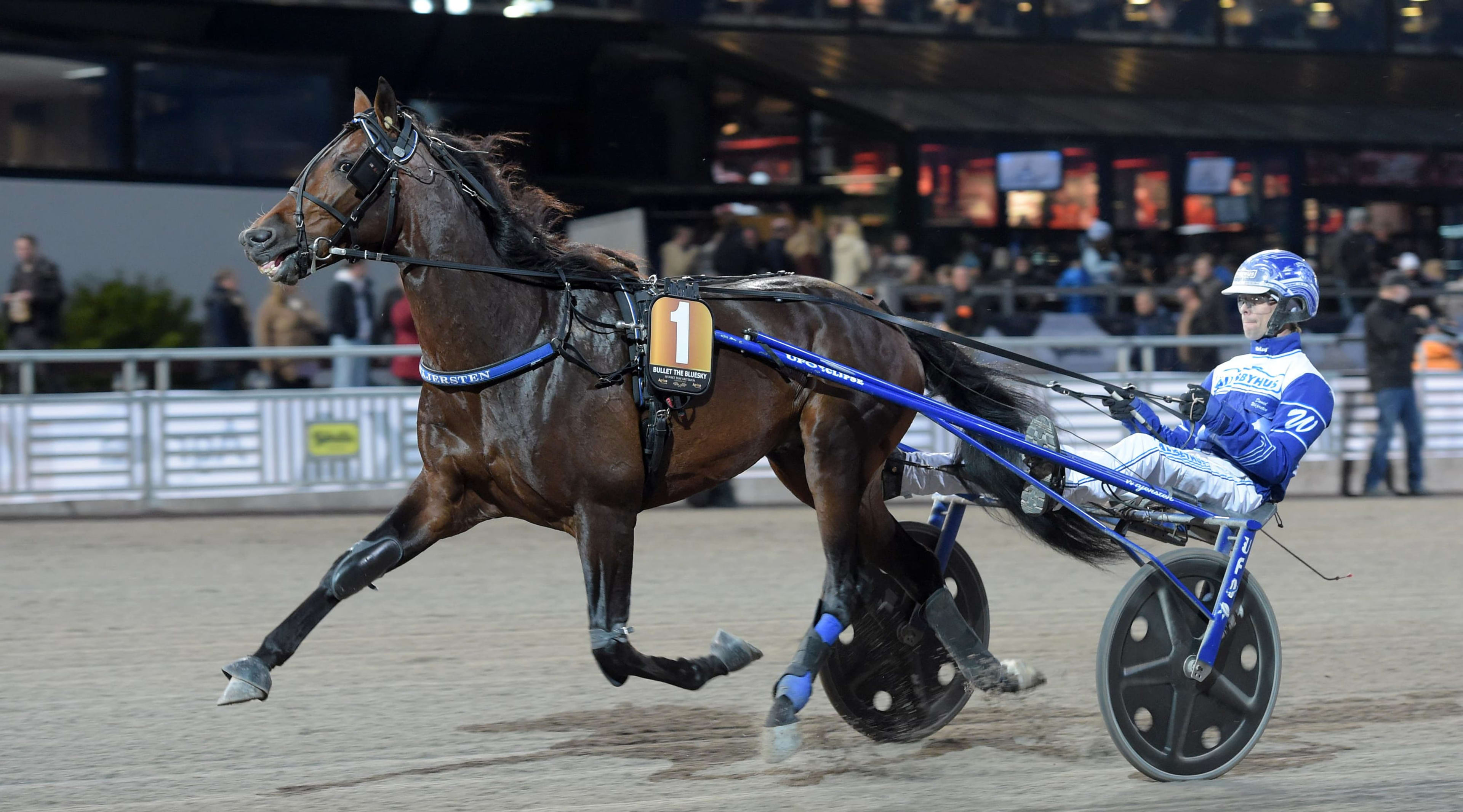 Foto: LARS JAKOBSSON / TR BILD
