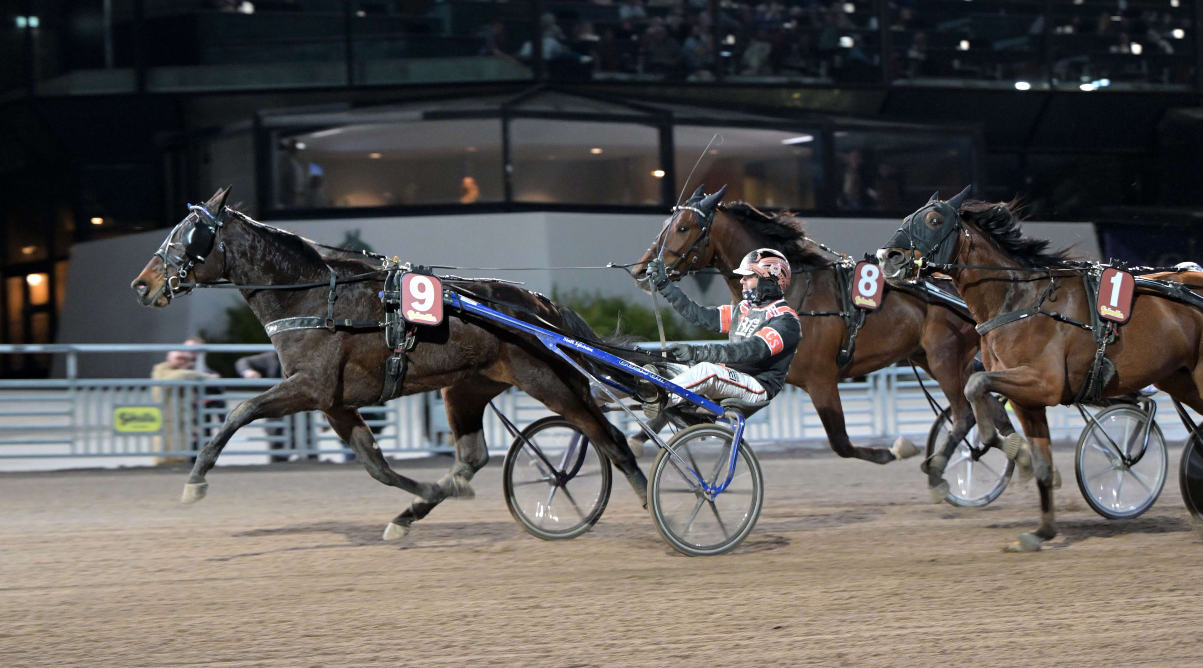 Foto: LARS JAKOBSSON / TR BILD