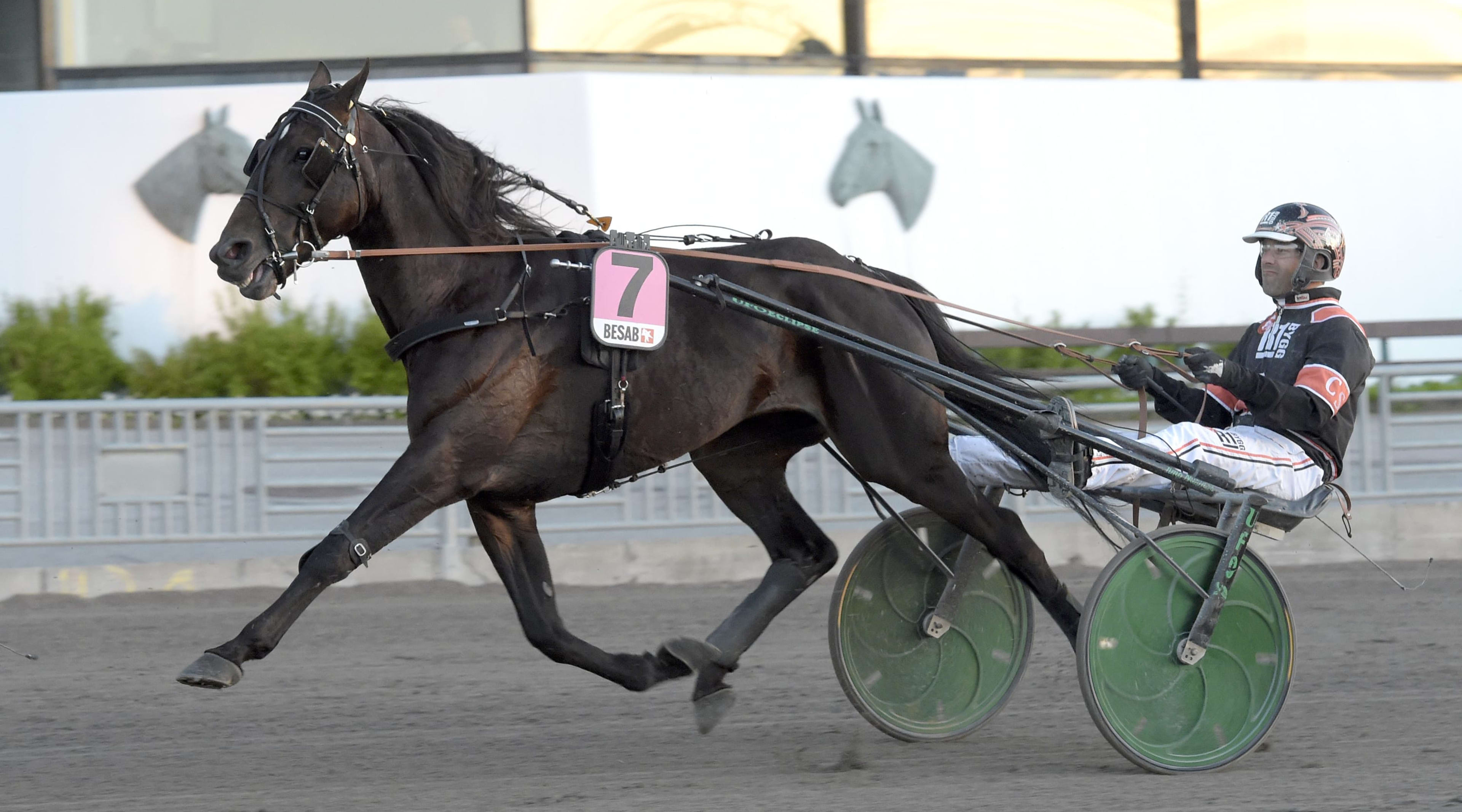 Foto: LARS JAKOBSSON / TR BILD
