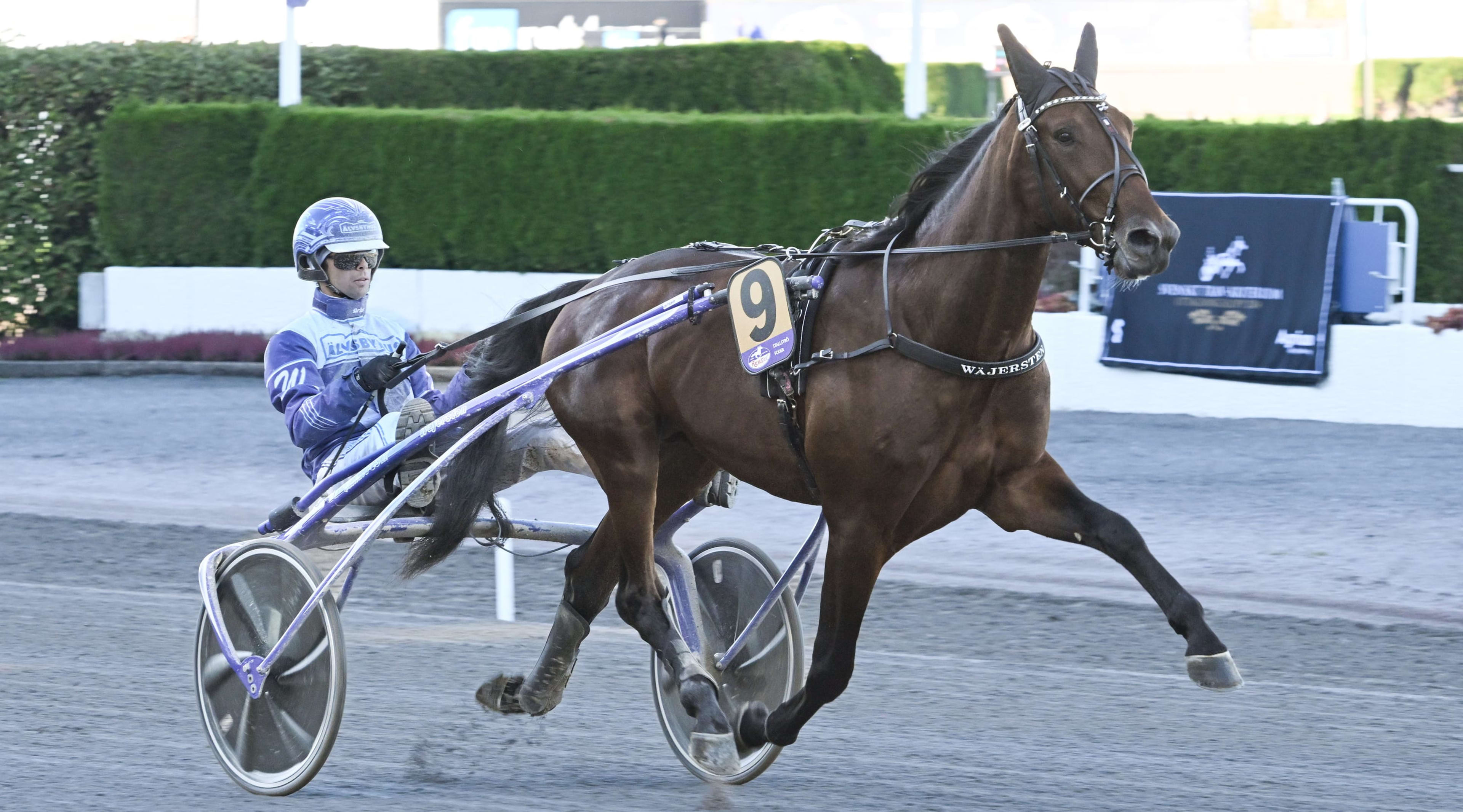 Foto: LARS JAKOBSSON / TR BILD