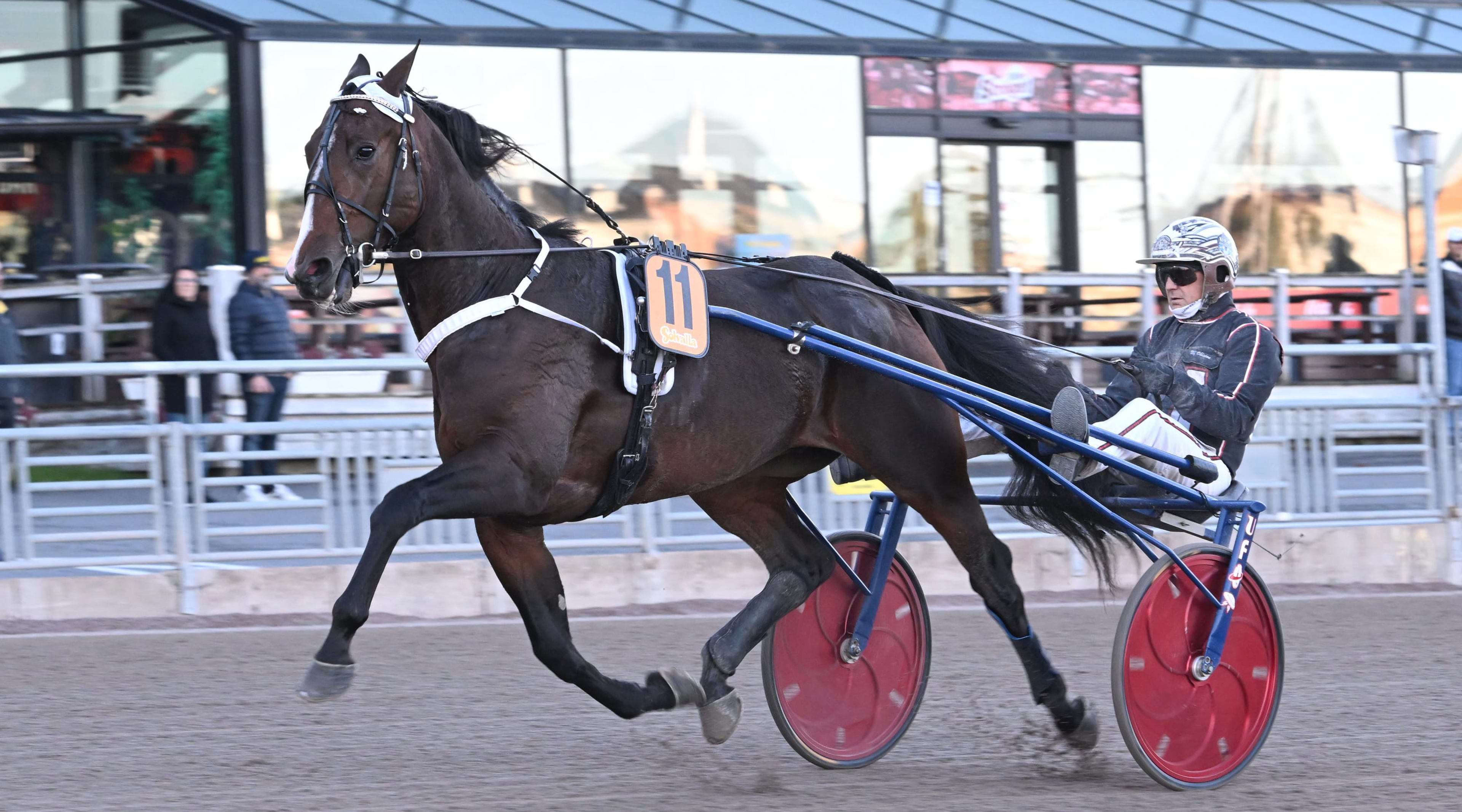 Foto: LARS JAKOBSSON / TR BILD