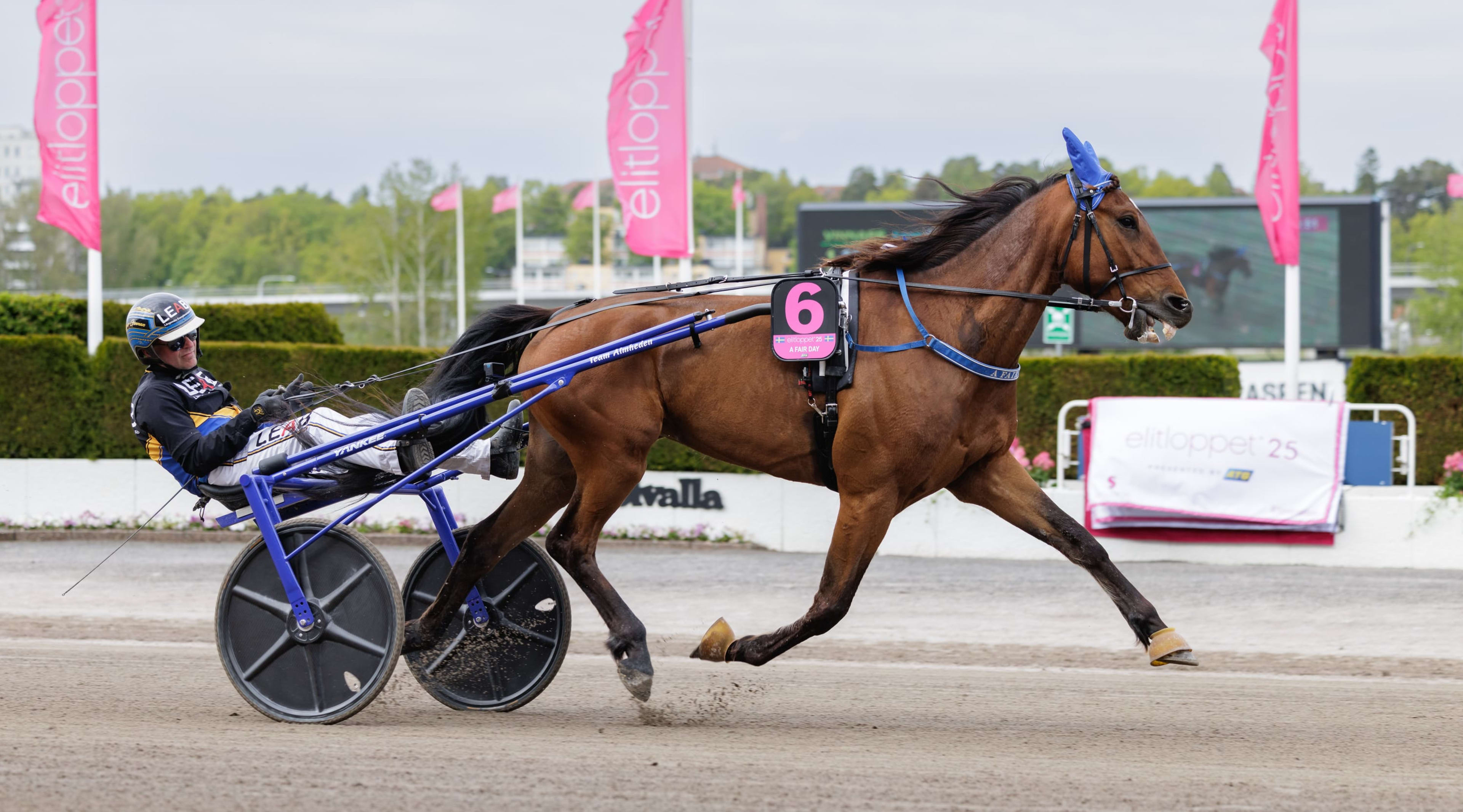 Foto: LENA EMMOTH / TR BILD