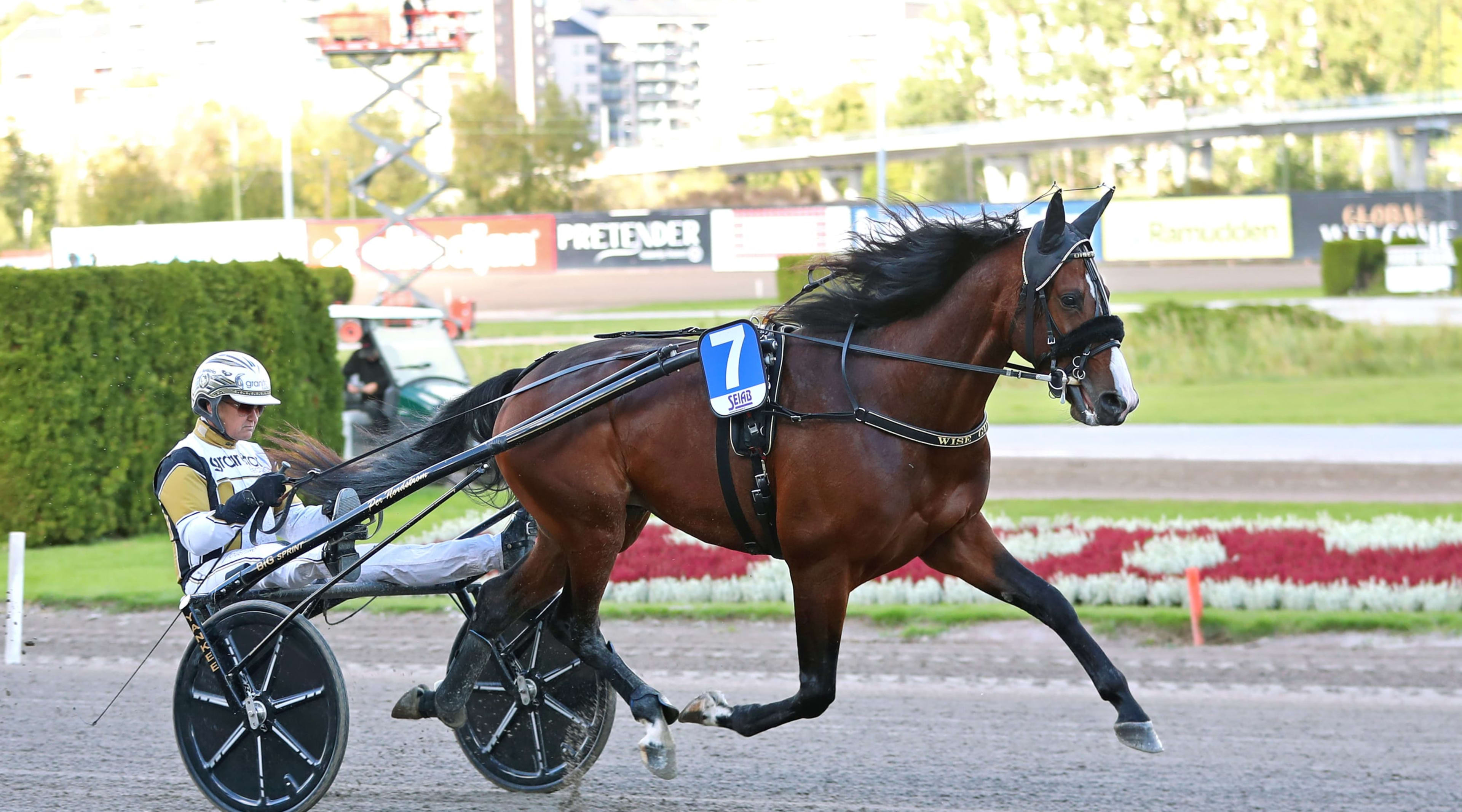 Foto: MARIA HOLMÉN / TR BILD