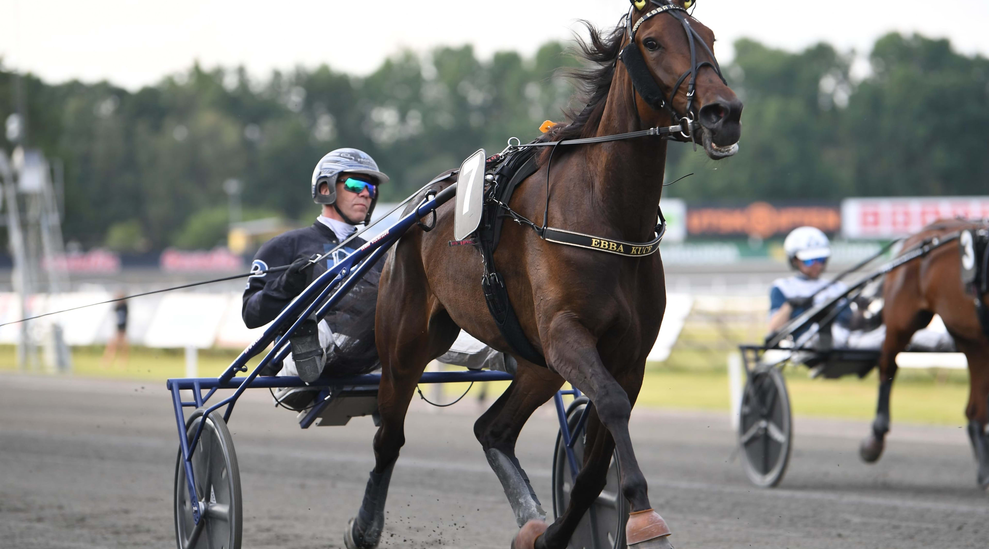 Foto: MALIN ALBINSSON / TR BILD