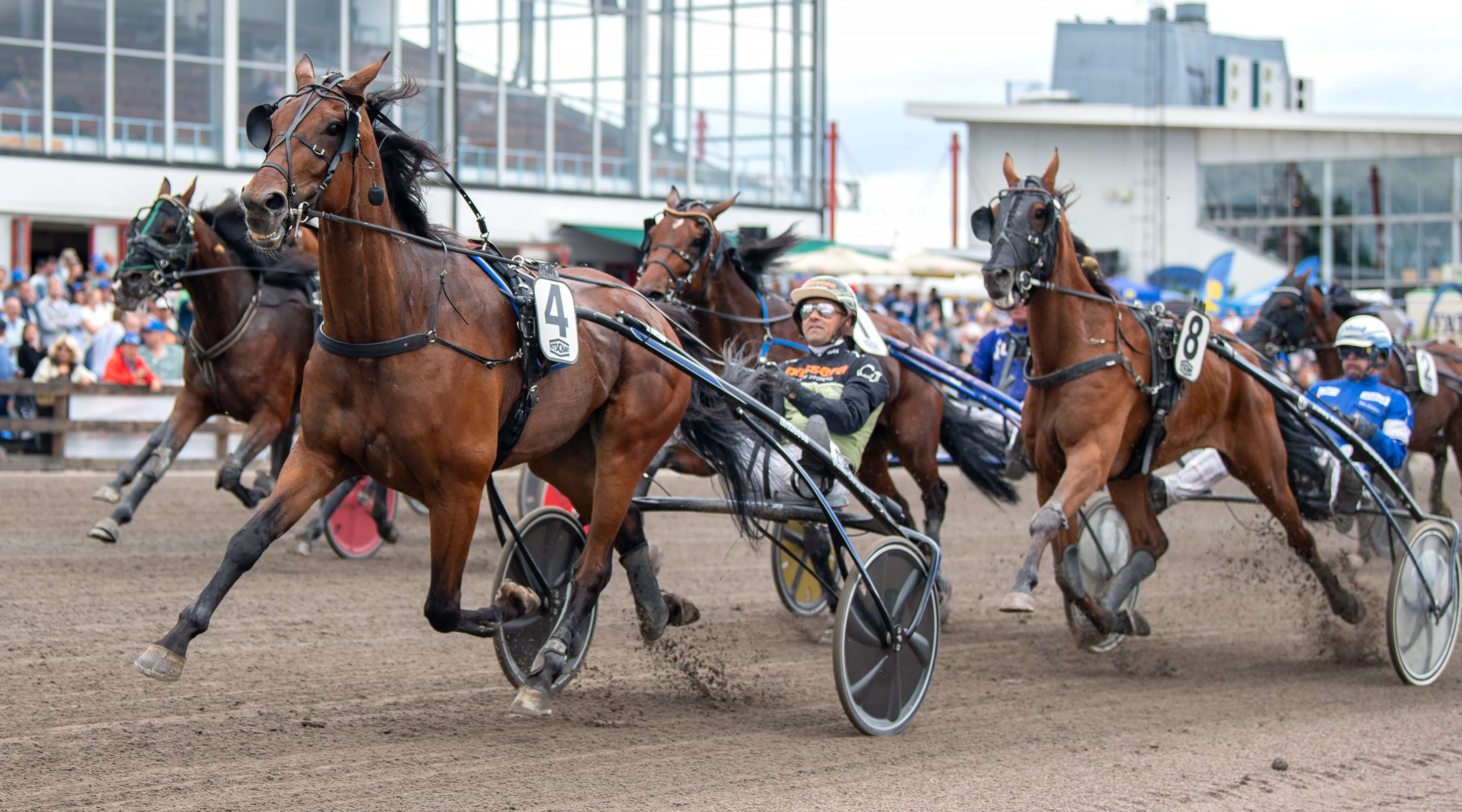 Foto: MIKAEL ROSENQUIST / TR BILD