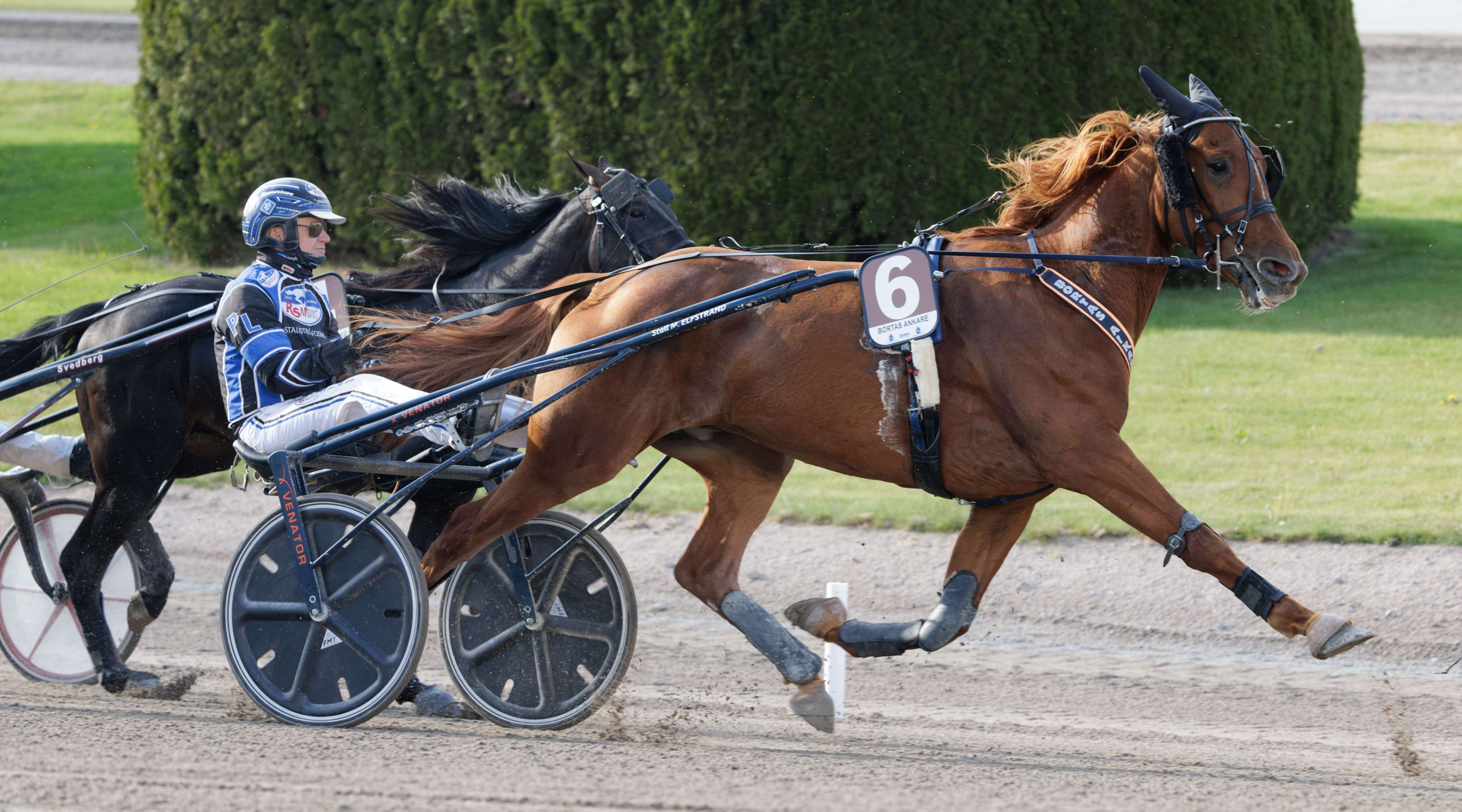 Foto: LENA EMMOTH / TR BILD