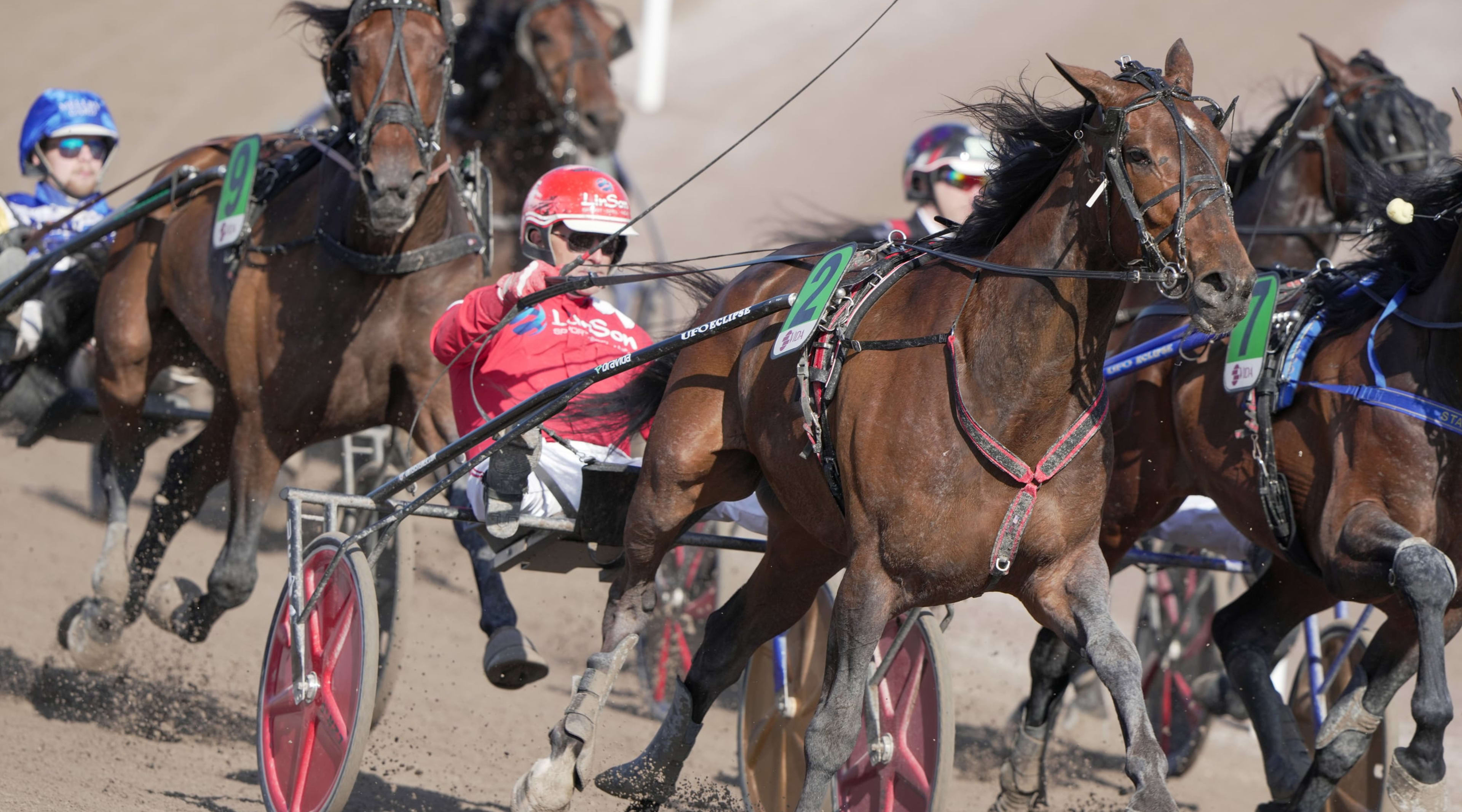 Foto: THOMAS BLOMQVIST / TR BILD