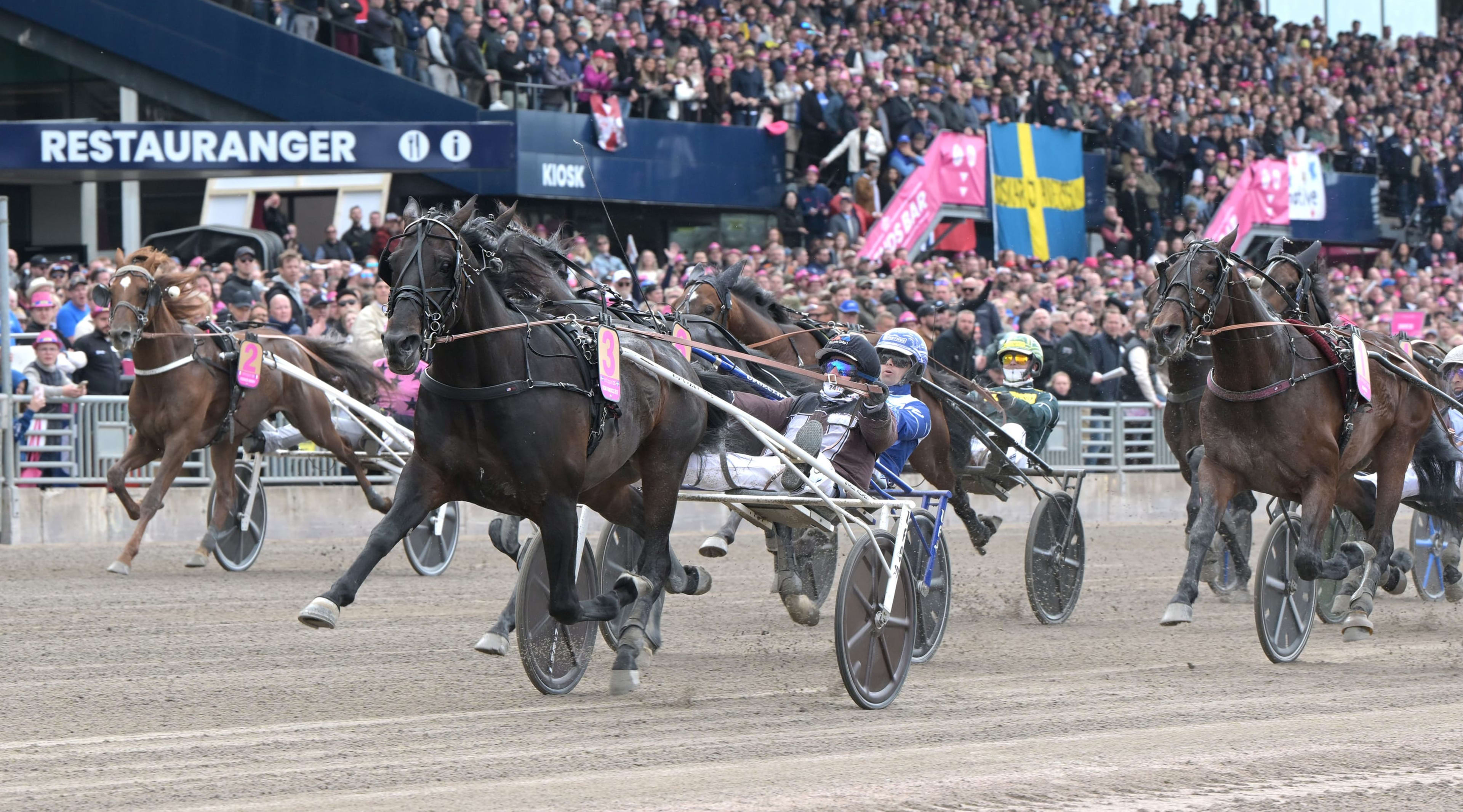 Foto: LARS JAKOBSSON / TR BILD
