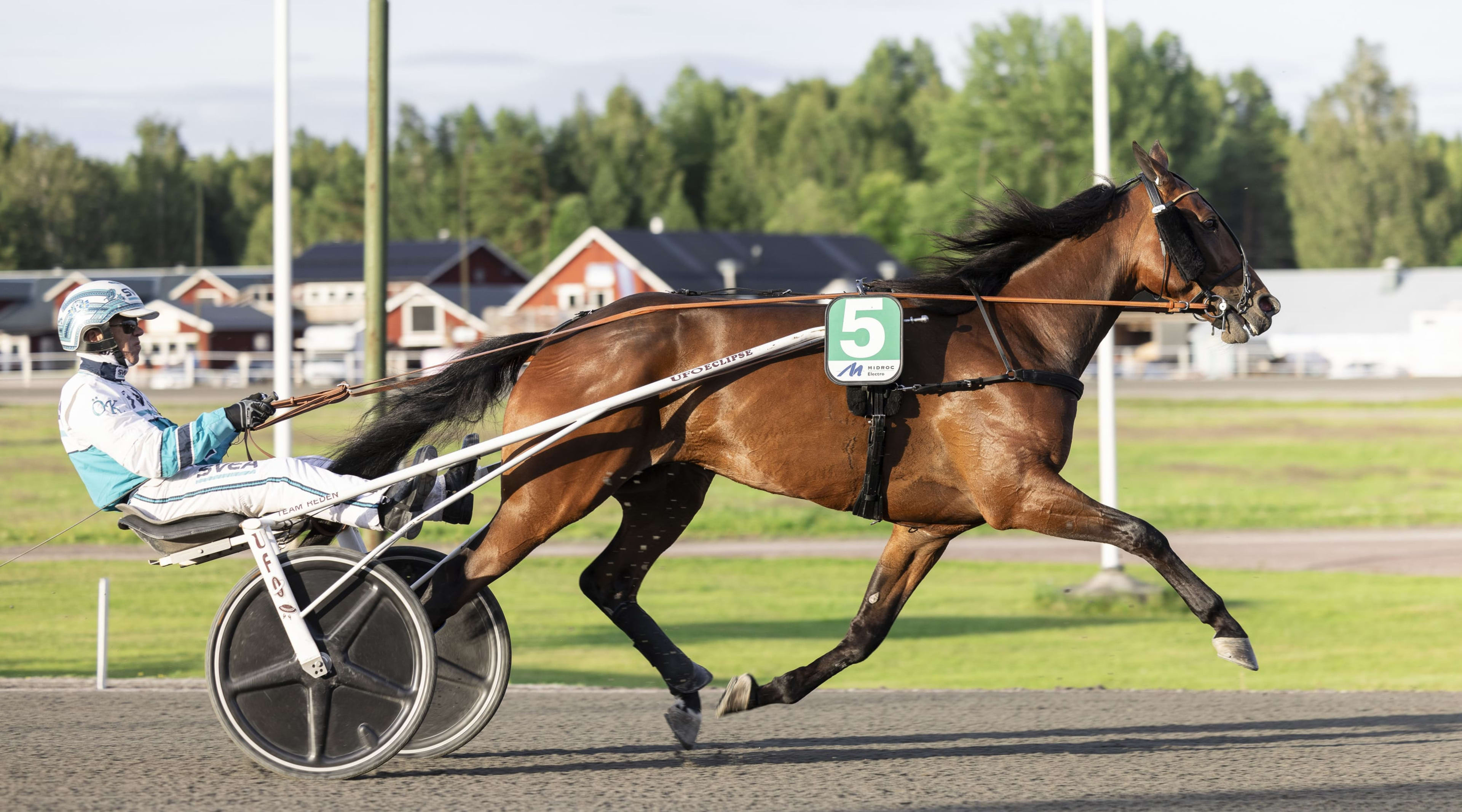 Foto: LENA EMMOTH / TR BILD