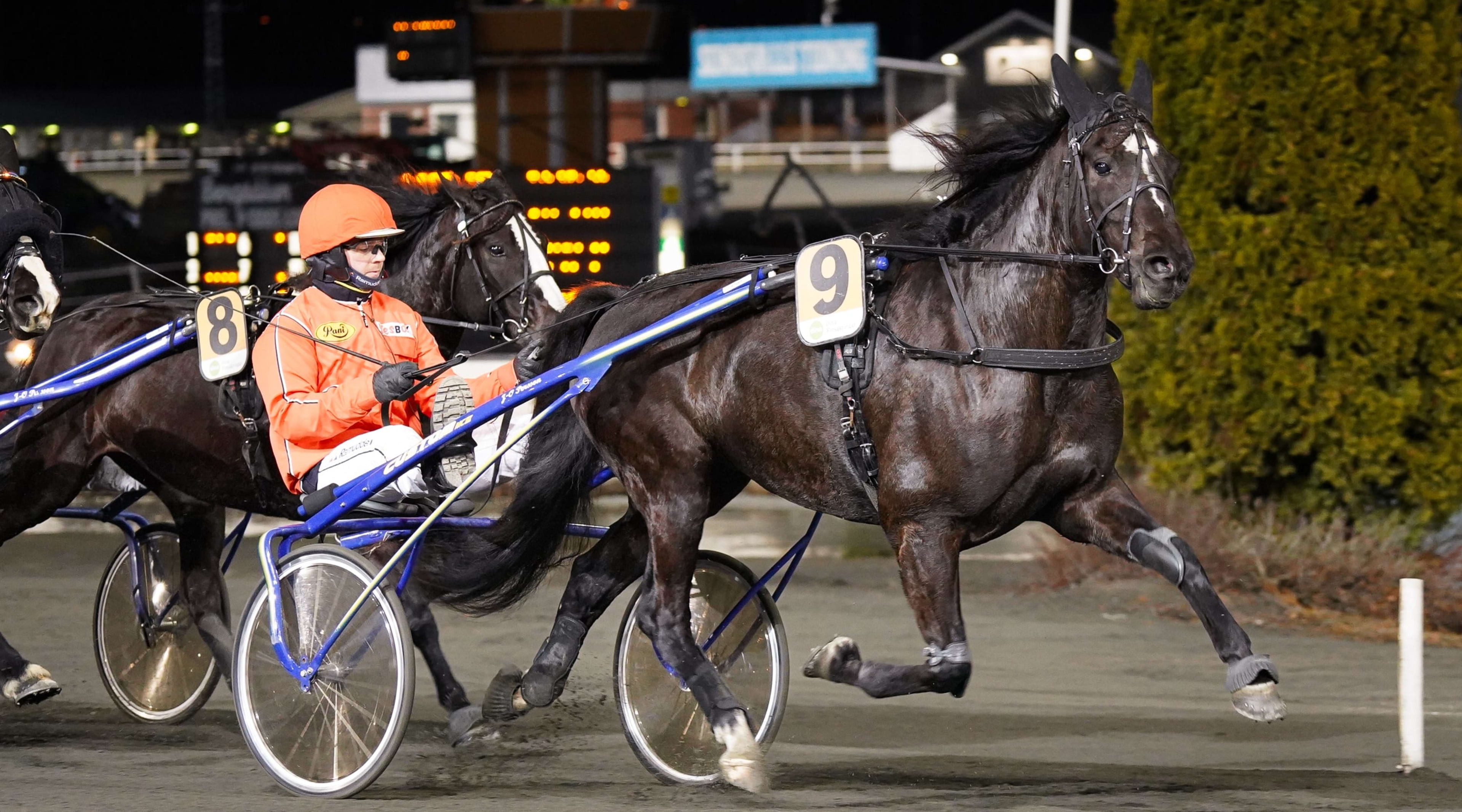 Foto: PETTER BILD