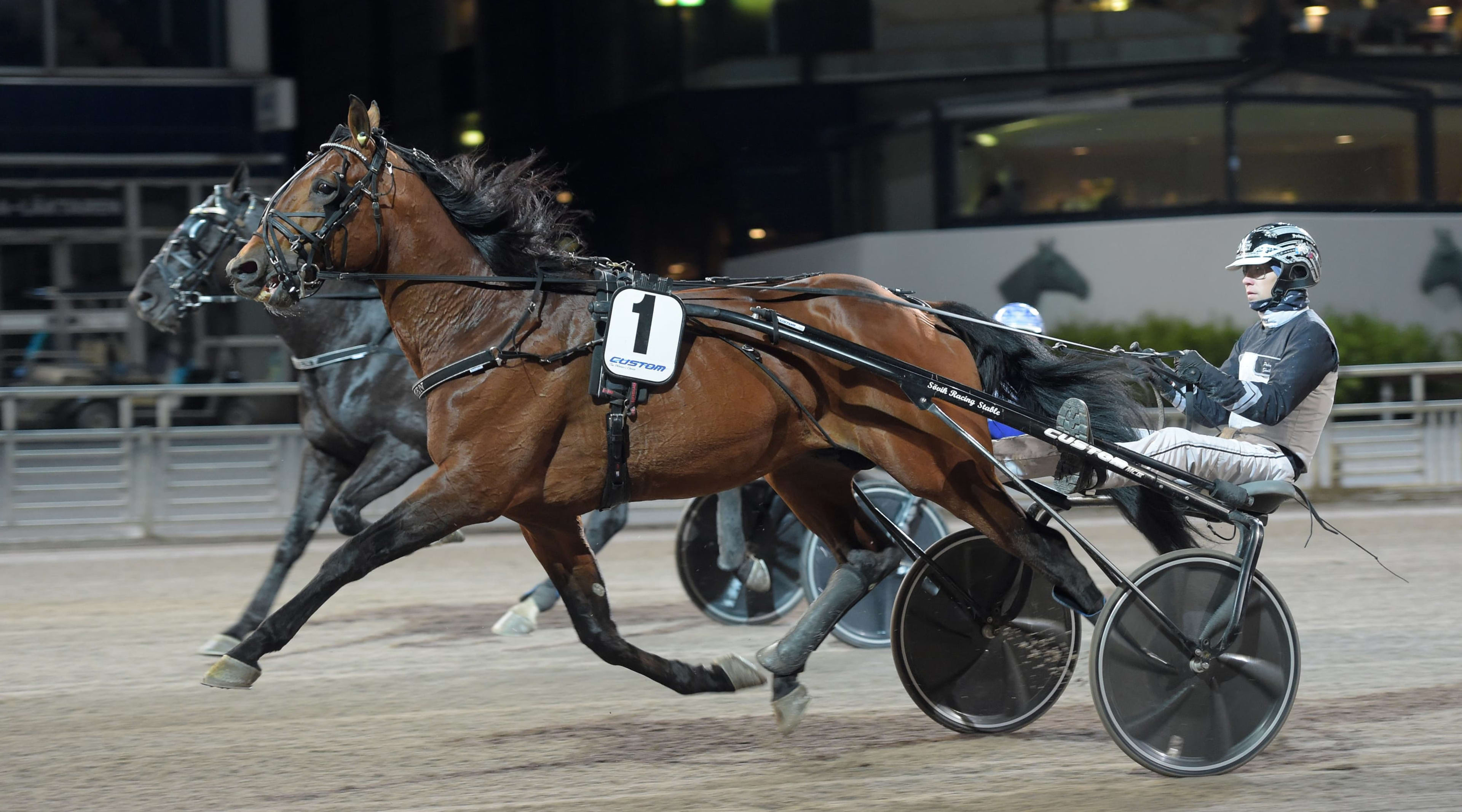 Foto: LARS JAKOBSSON / TR BILD