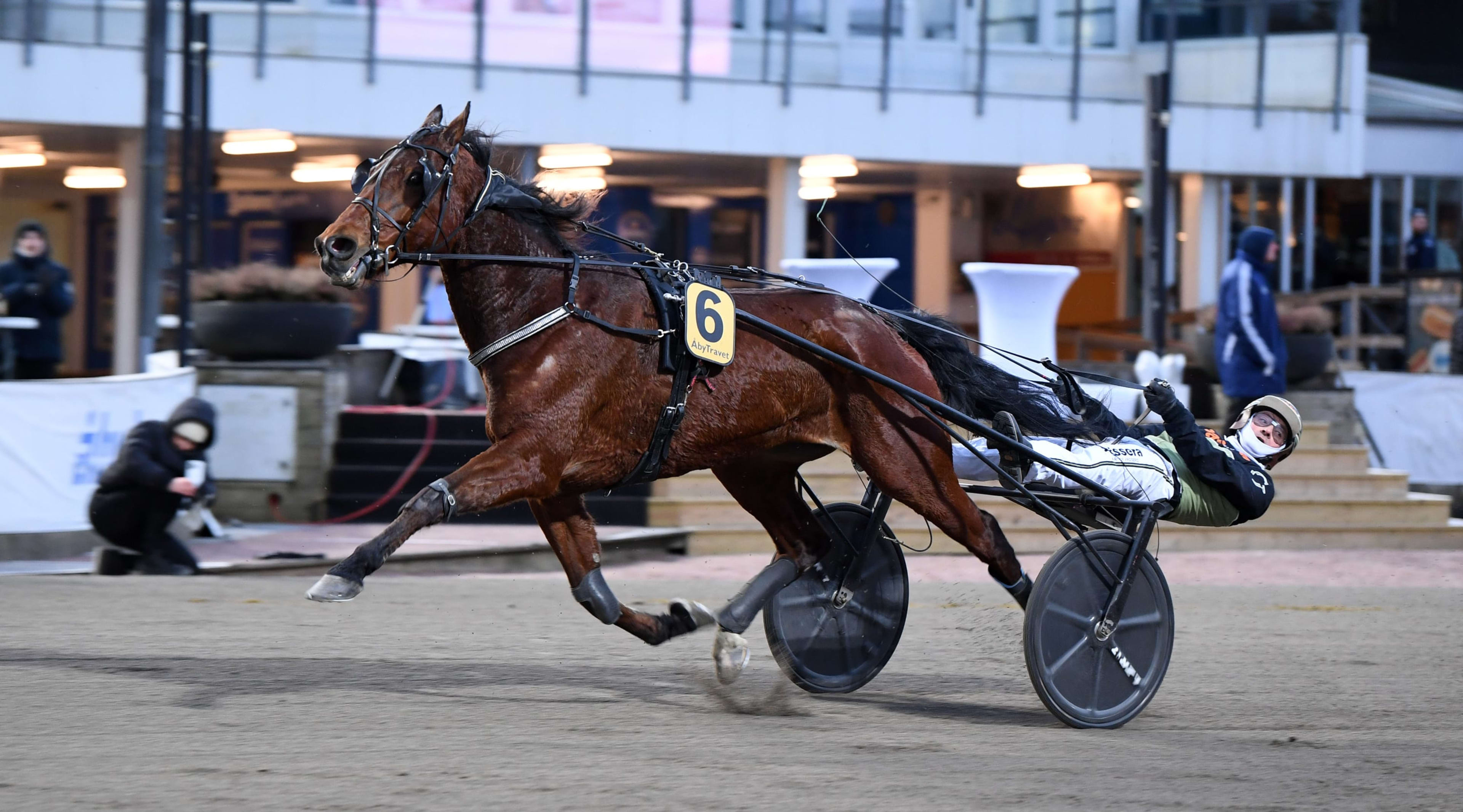 Foto: MALIN ALBINSSON / TR BILD