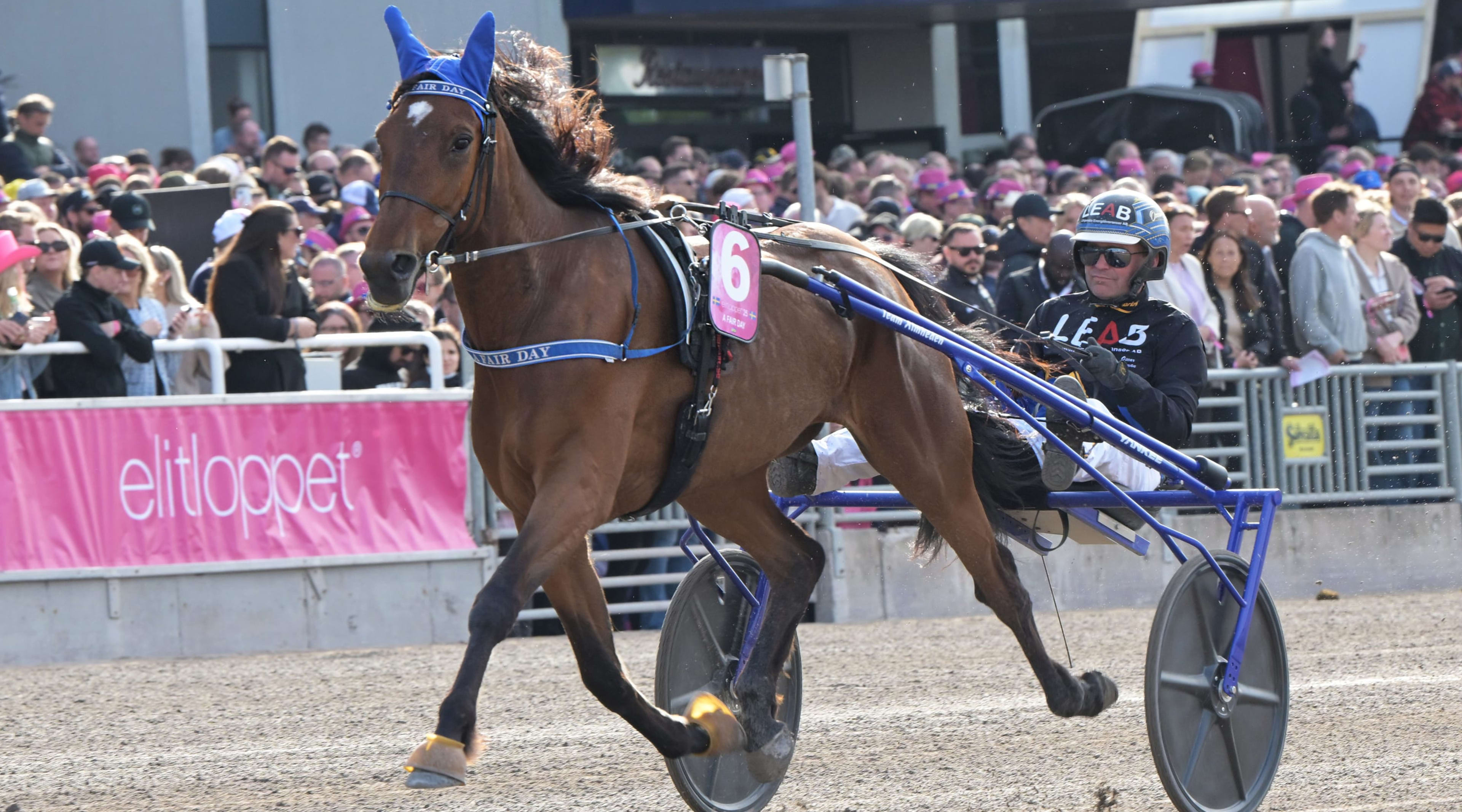 Foto: LARS JAKOBSSON / TR BILD