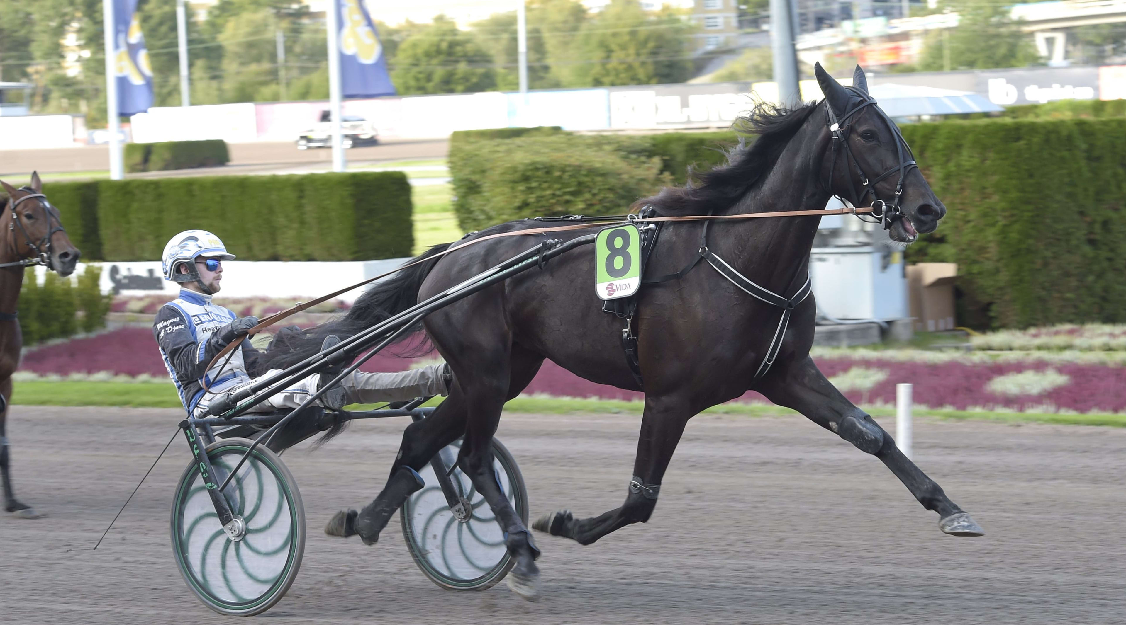 Foto: LARS JAKOBSSON / TR BILD