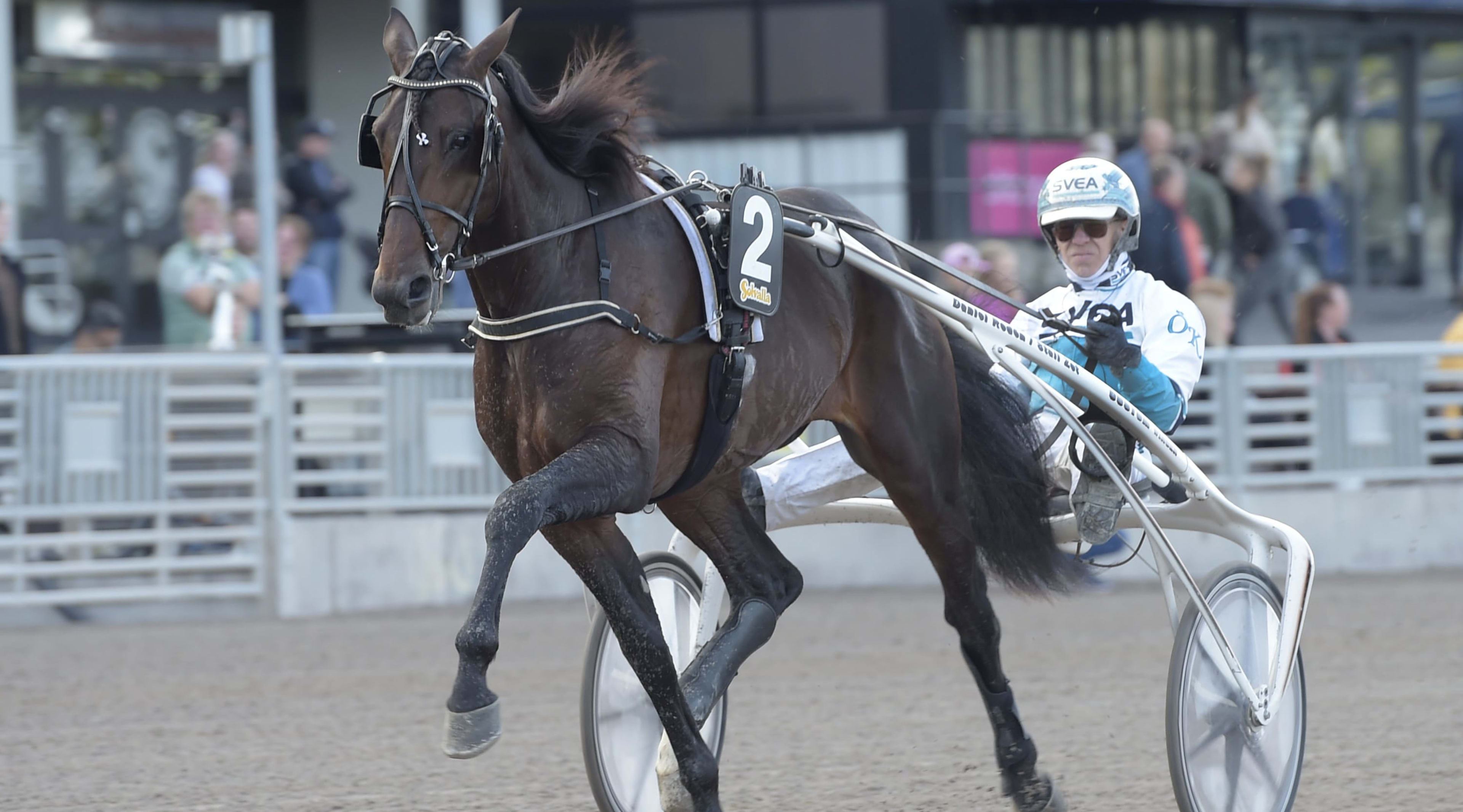 Foto: TR BILD