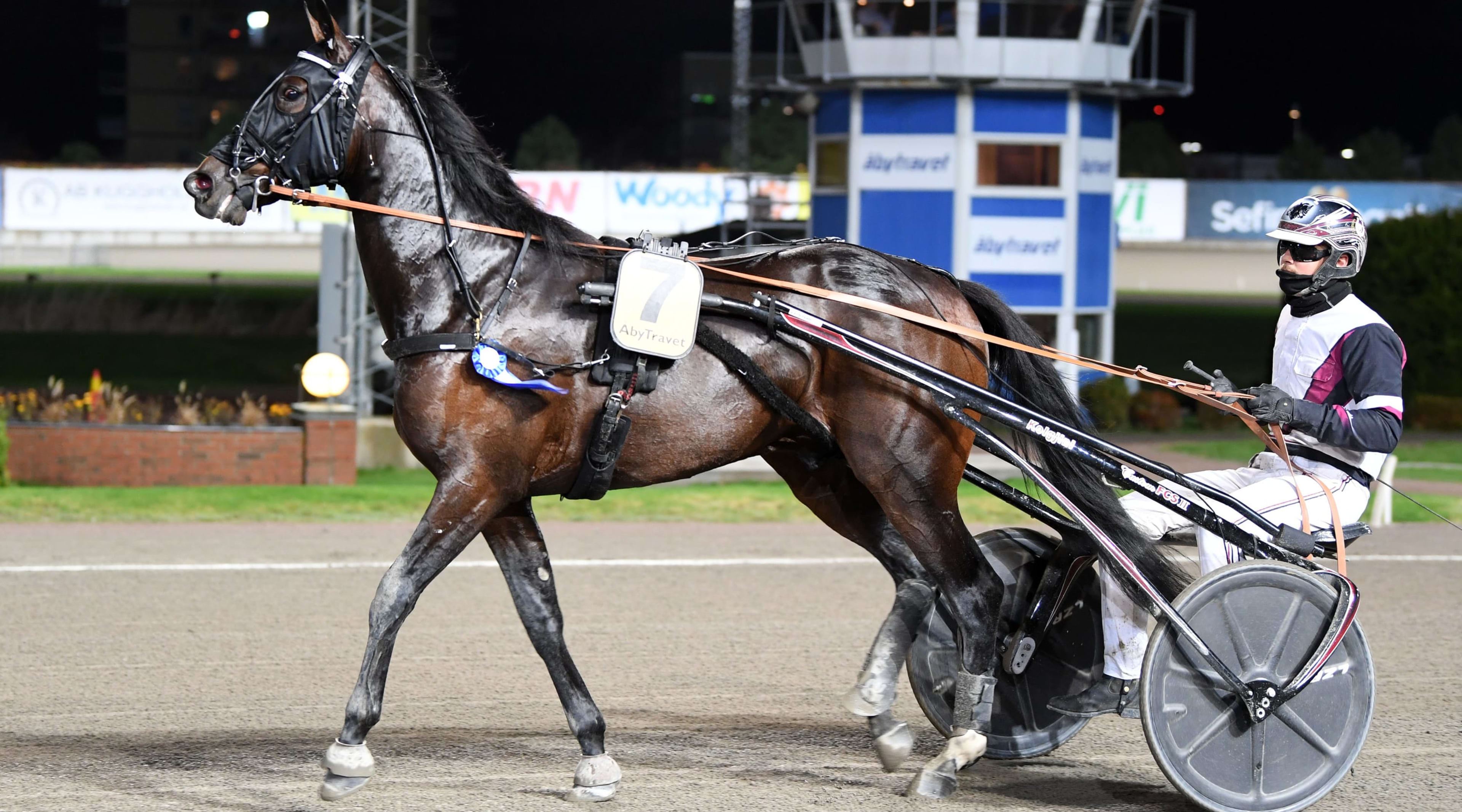 Foto: MALIN ALBINSSON / TR BILD